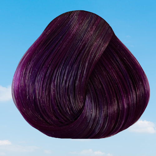 Plum Hair Dye - Dark Plum Semi-Permanent Colour | La Riche Directions