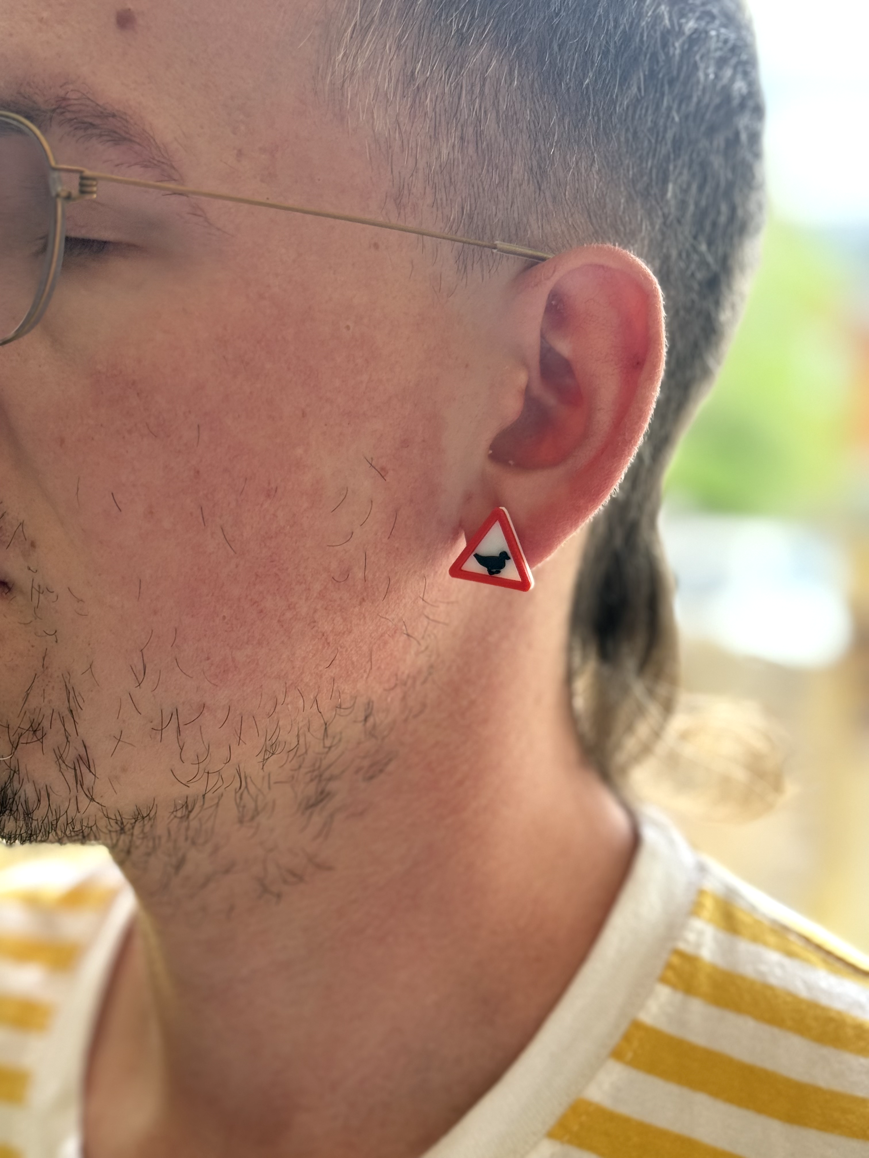 Warning Ducks Stud Earrings | Funny Road Sign Earrings | Duck Gift
