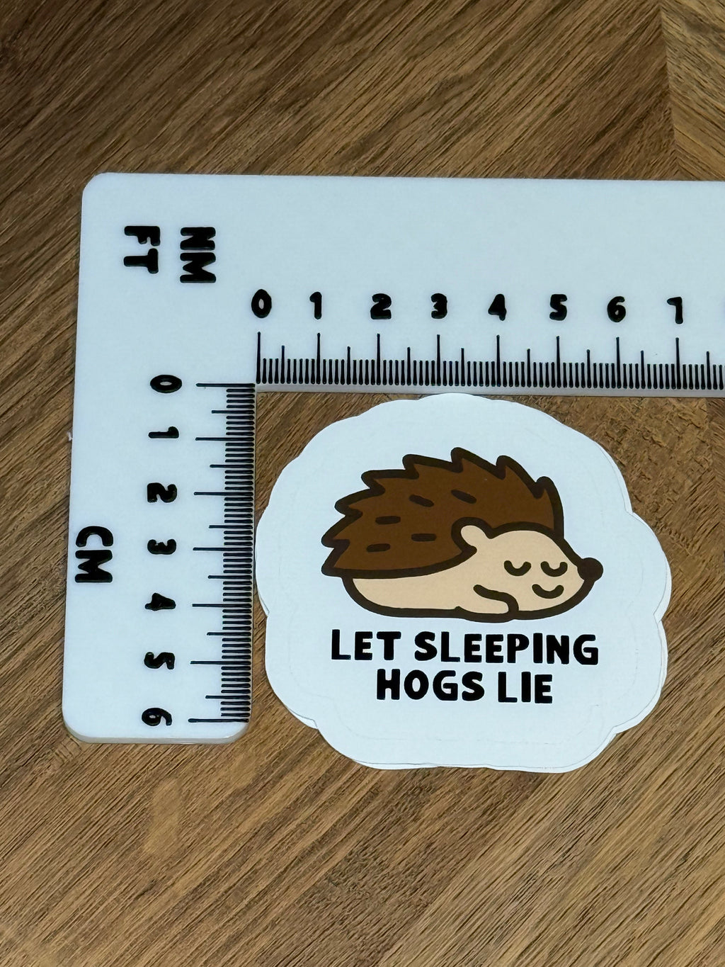Sleepy Hedgehog Sticker | Cute Animal Vinyl Sticker