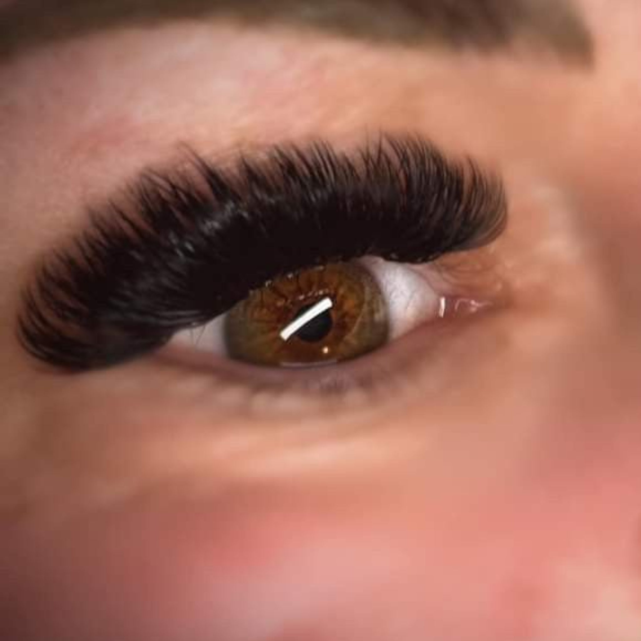 Sample Volume Lash Tray
