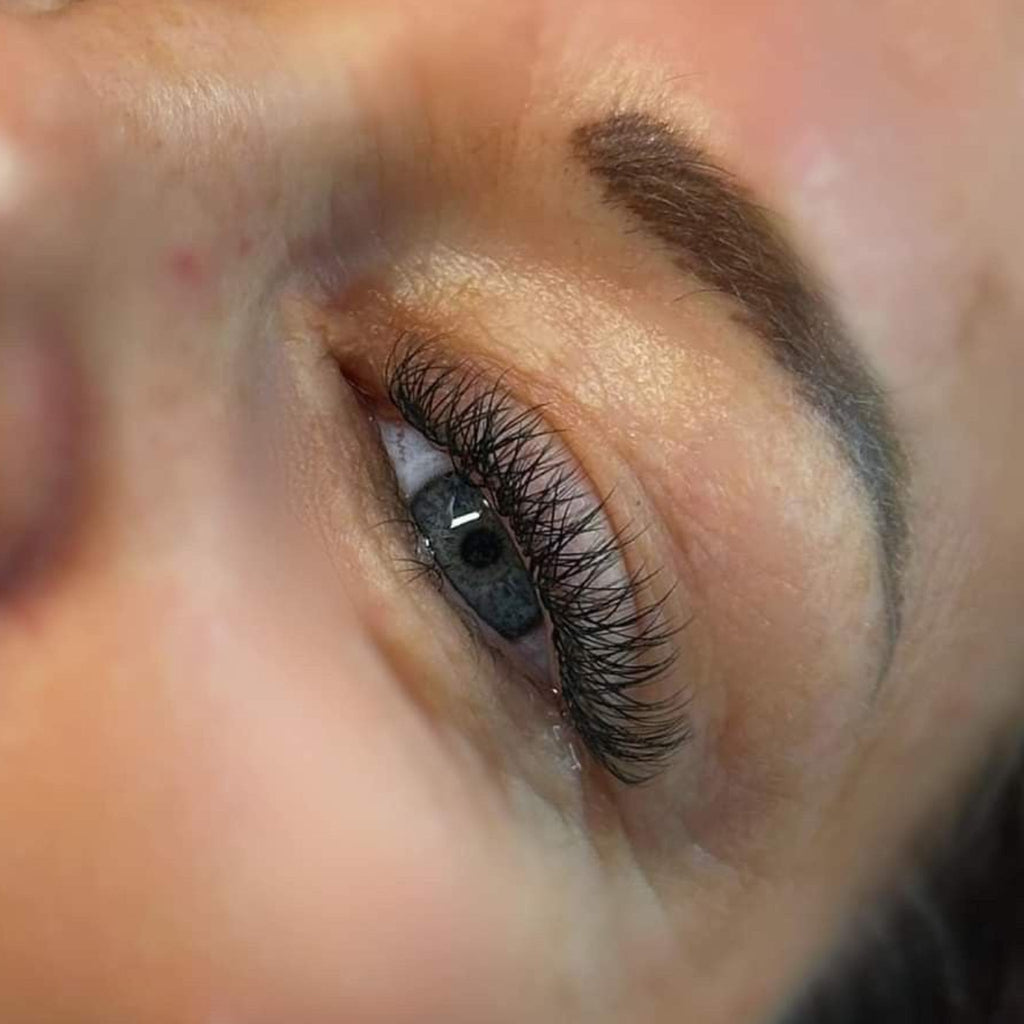 Sample W Lash Tray