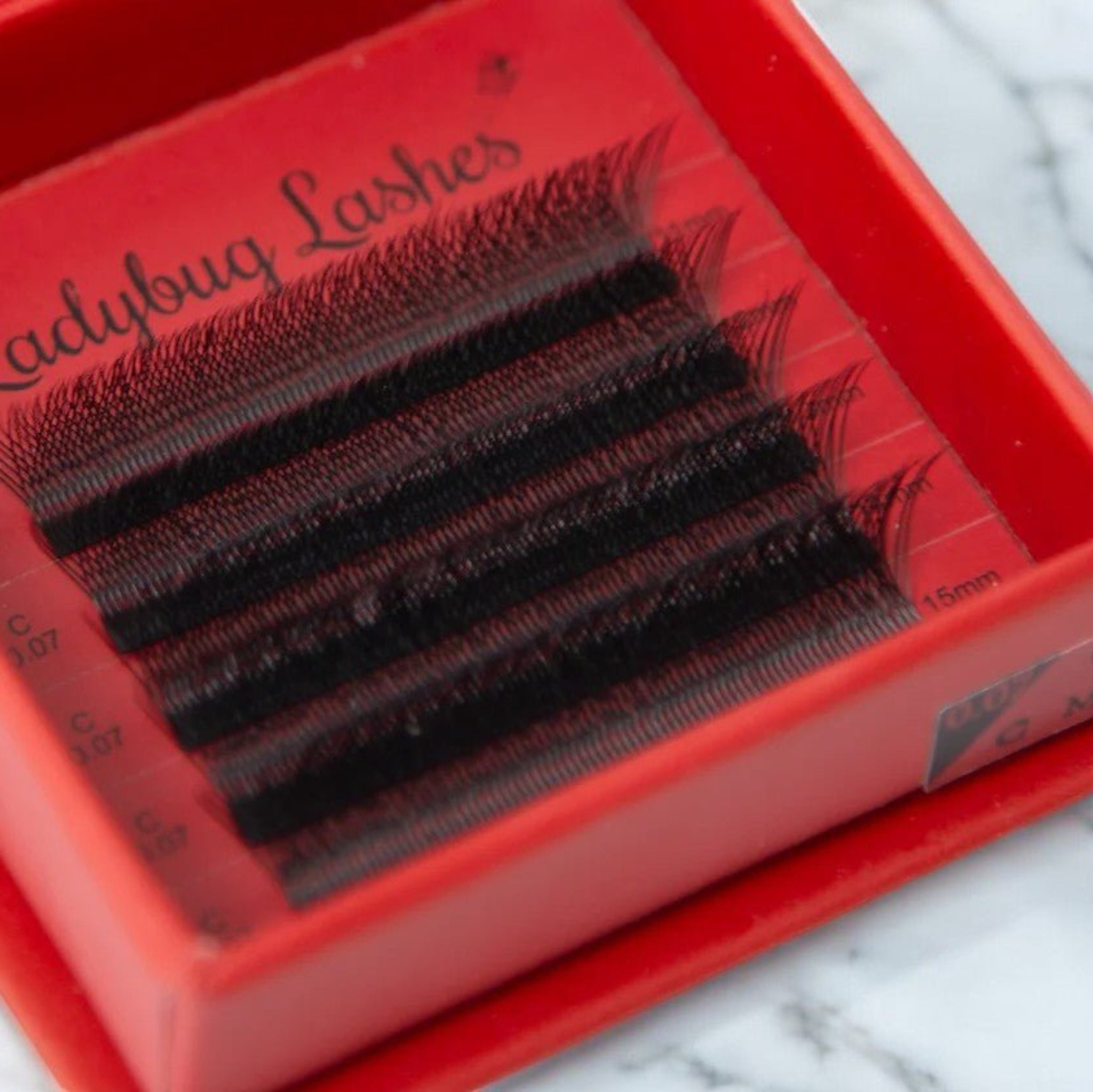 Sample W Lash Tray