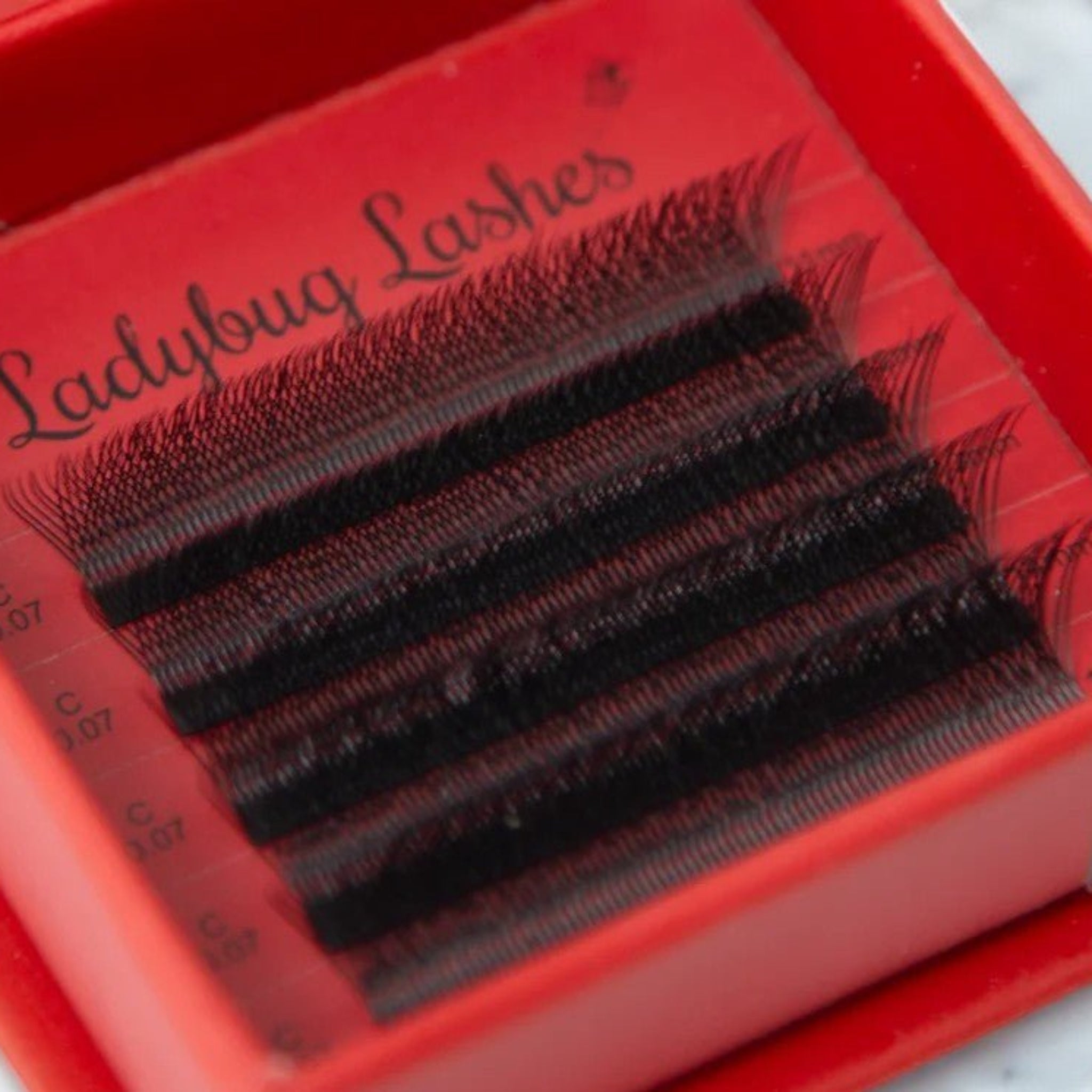 Sample W Lash Tray