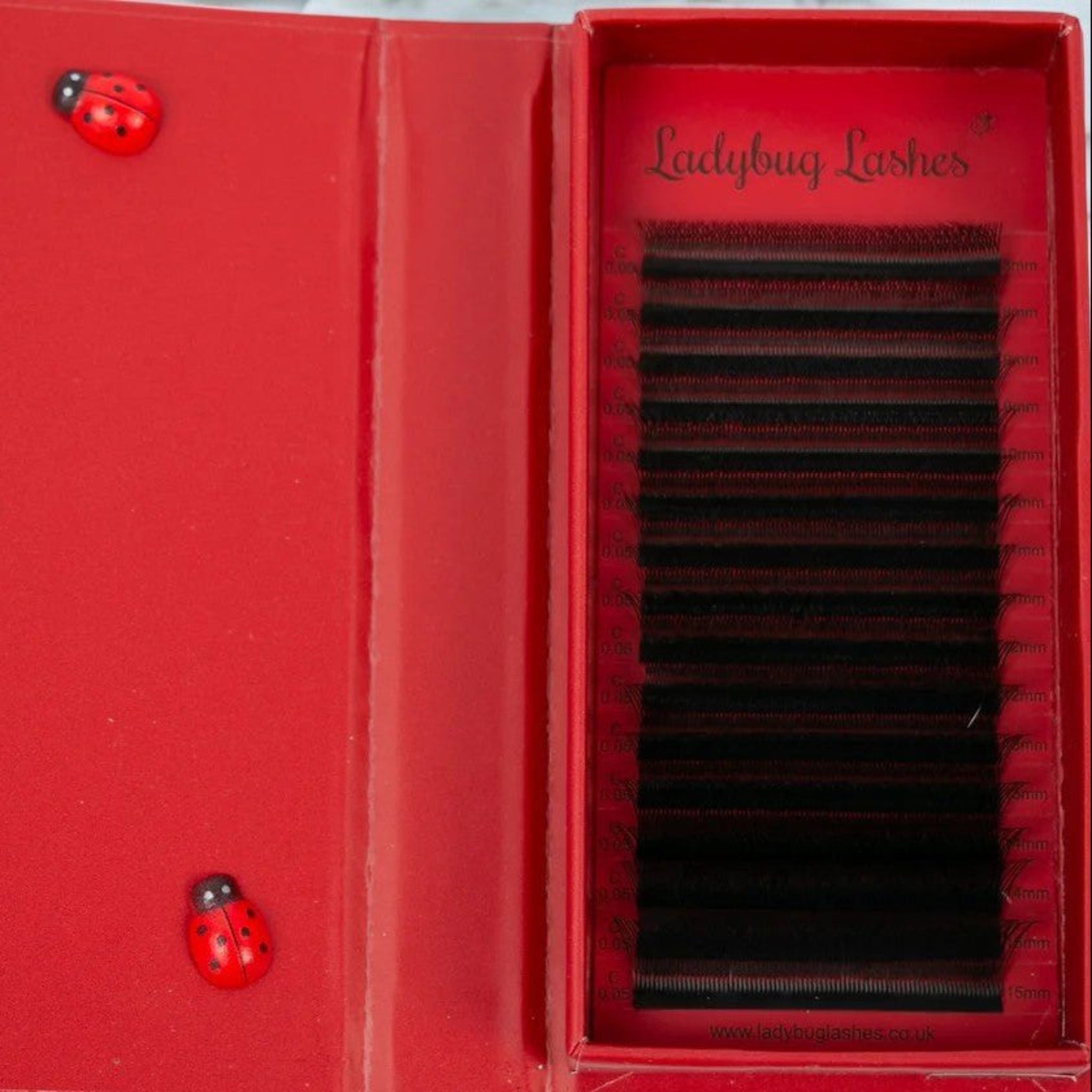 W Lash Single Length