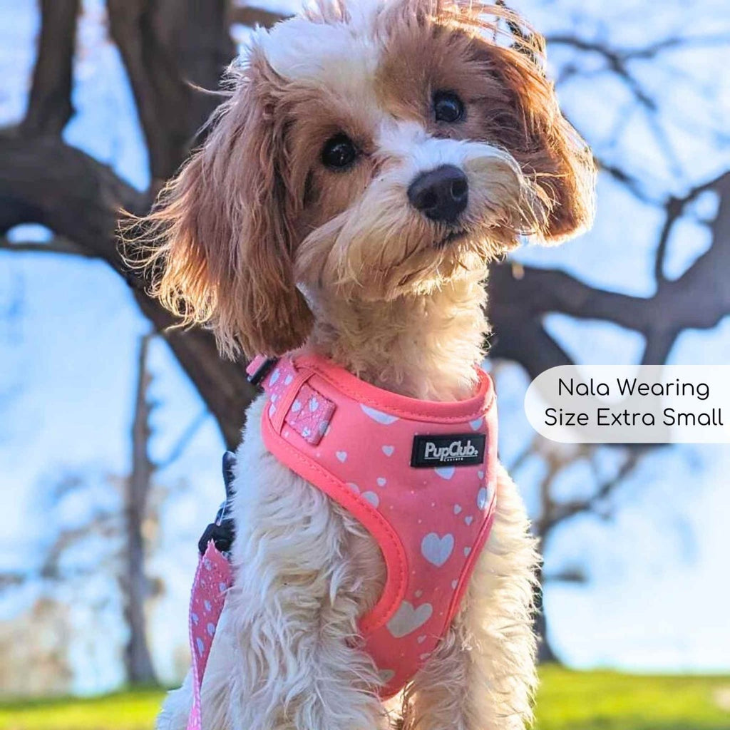 Adjustable Harness - Peachy Hearts