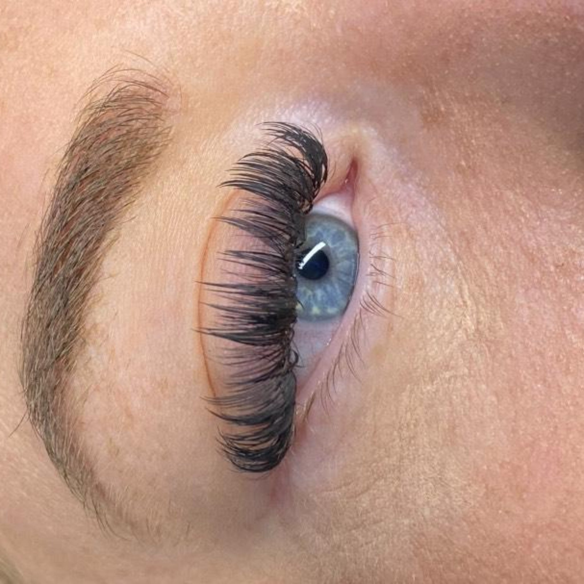 Anime Feather Lash 16 Row Tray