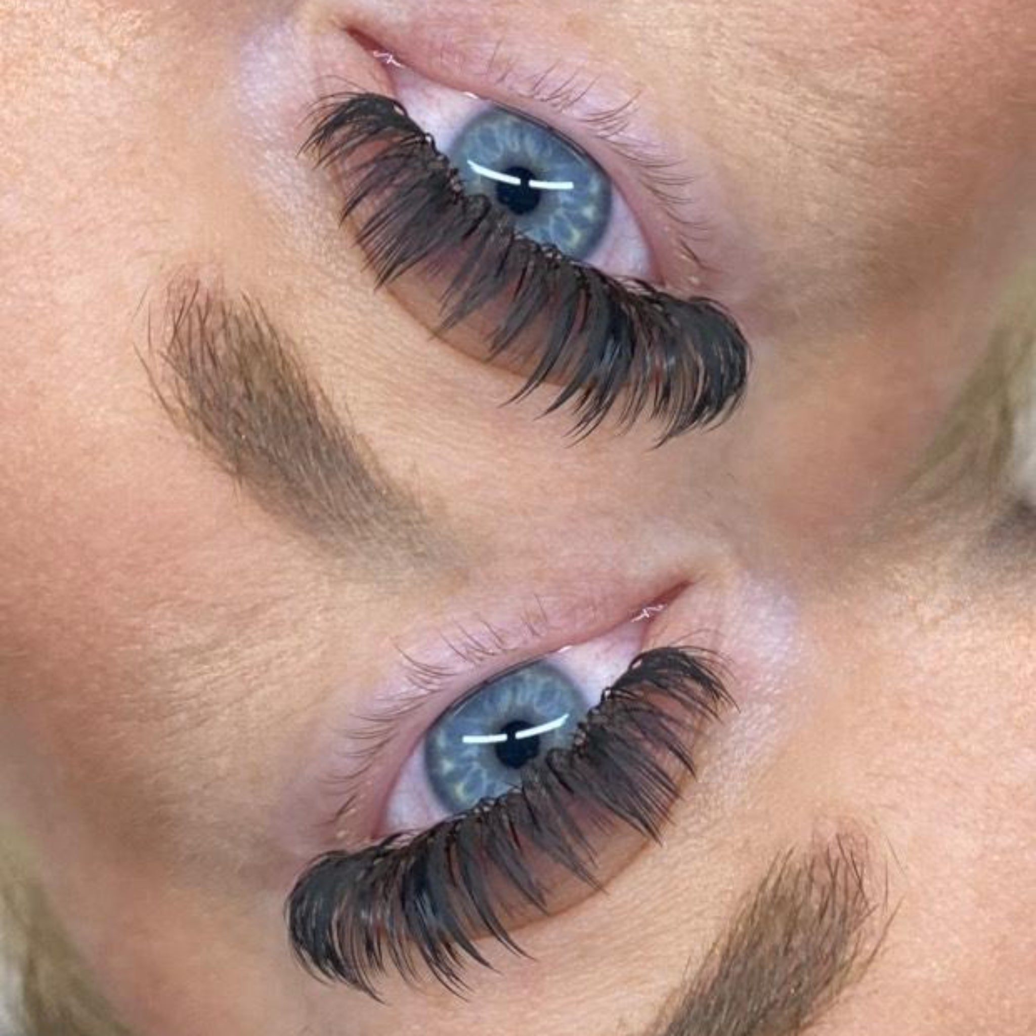 Anime Feather Lash 16 Row Tray