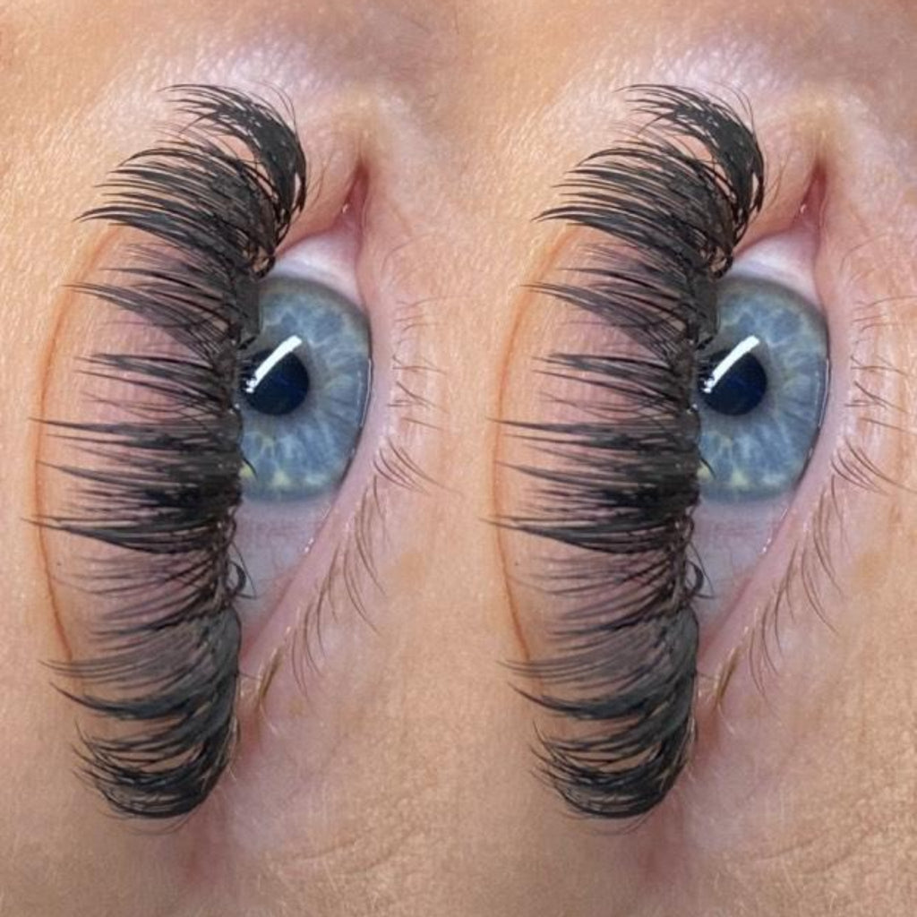 Anime Feather Lash 16 Row Tray