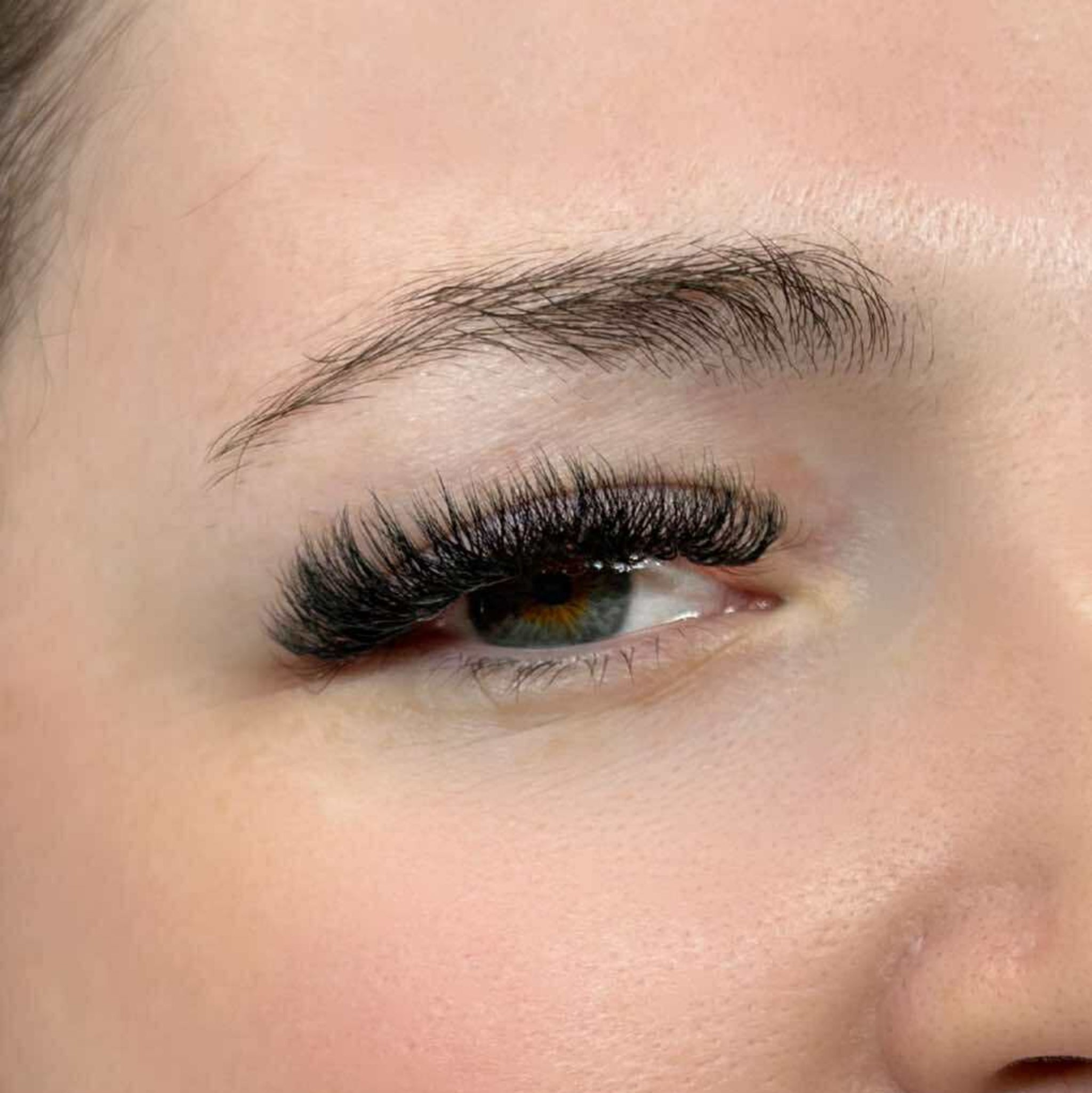 8D Clover Lash 16 Row Mixed Tray