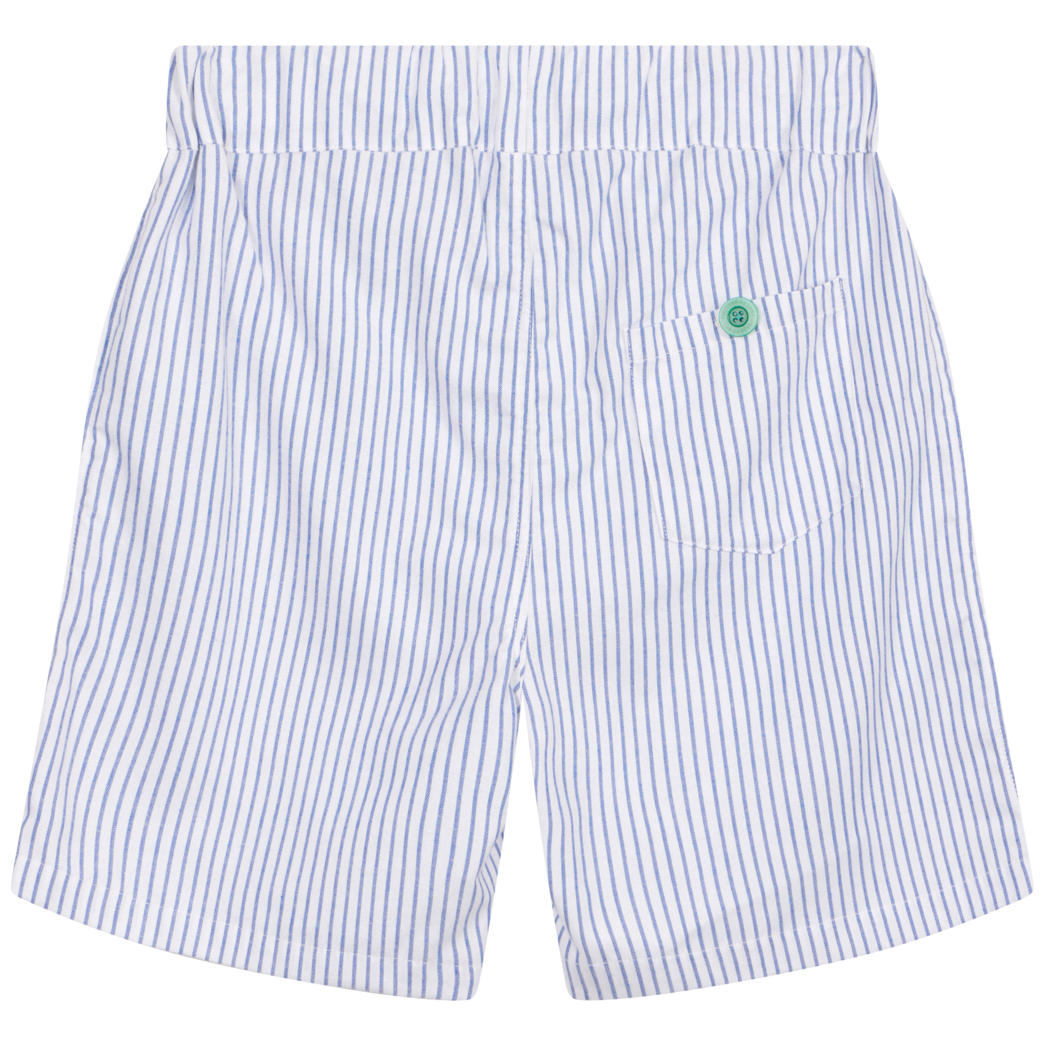 Monk Seal long shorts