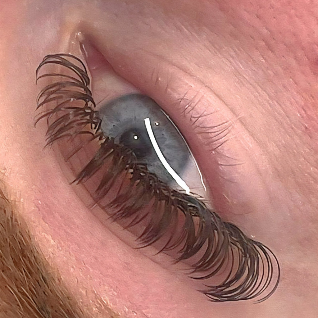 Brown Angel Lash 16 Row Mixed Tray