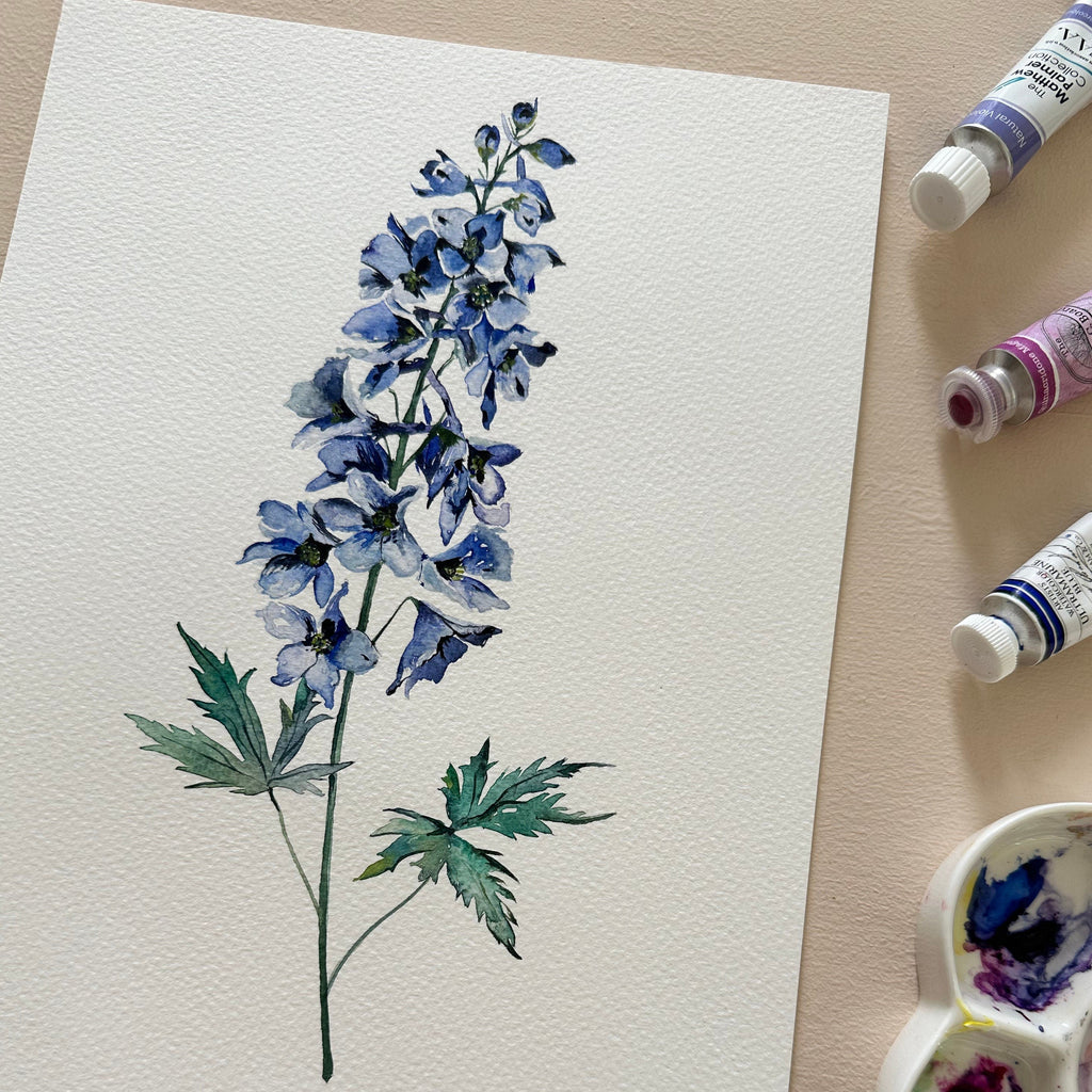 Larkspur - July Birth Flower - Watercolour Fine Art Print