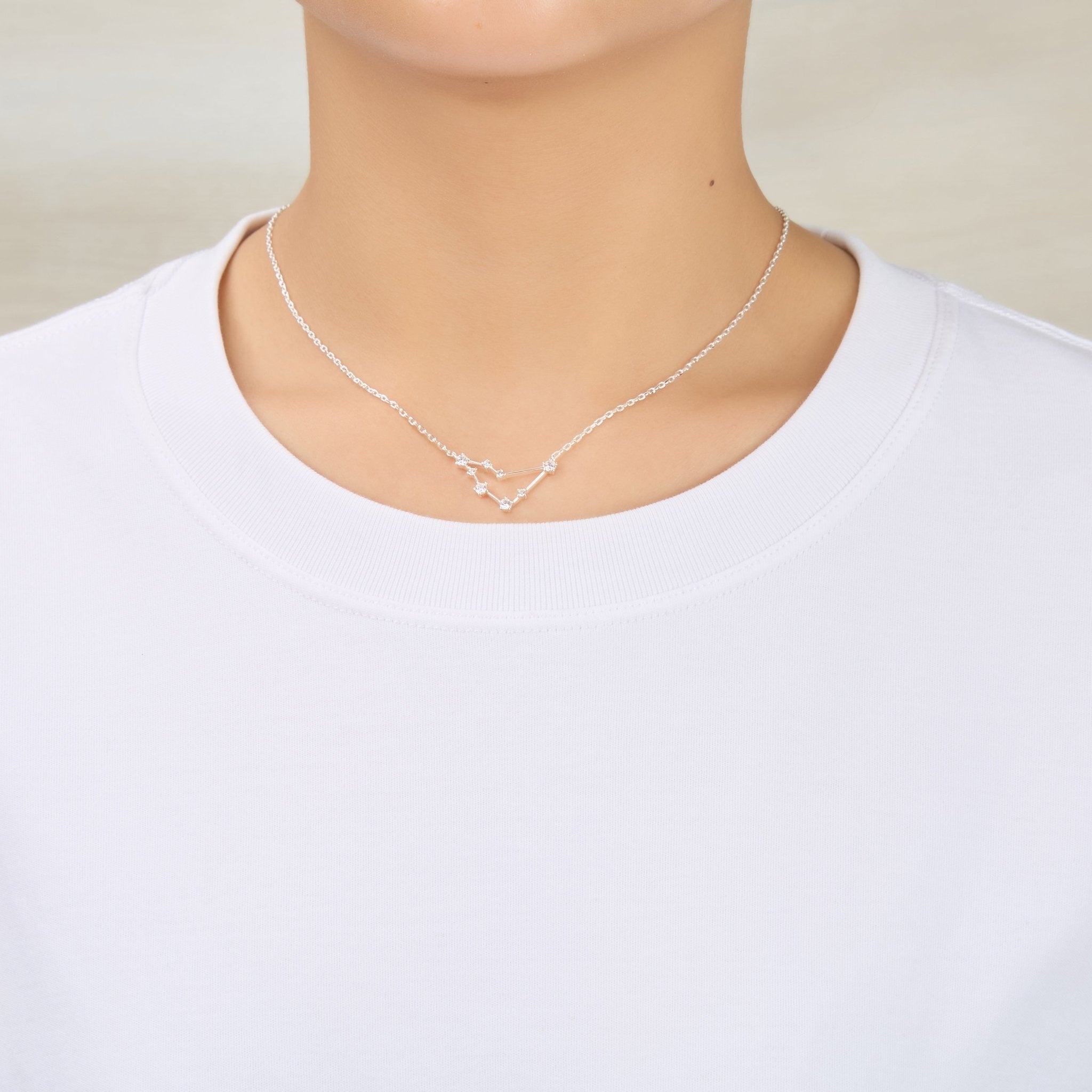 Capricorn Star Sign Zodiac Constellation Necklace and Quote Card with Zircondia® Crystals