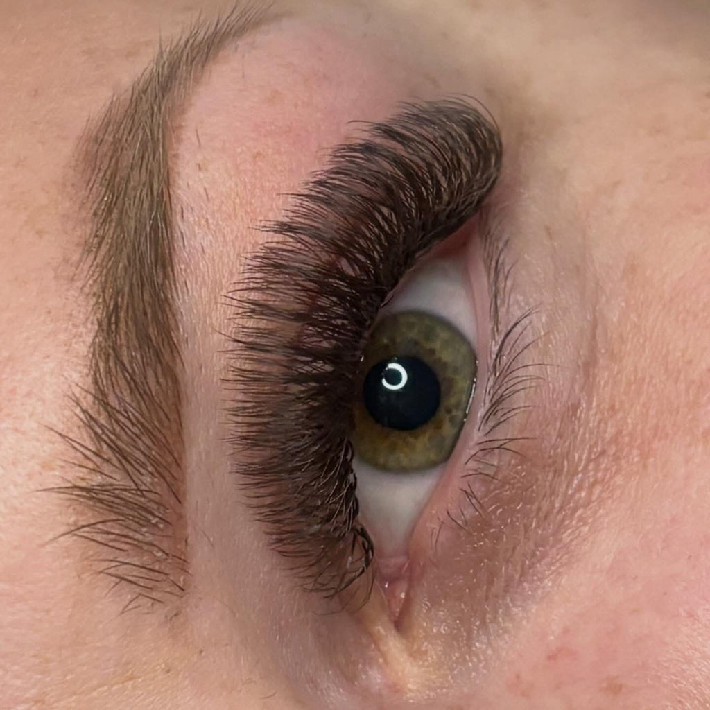 Brown Fairy Lash 16 Row Mixed Tray