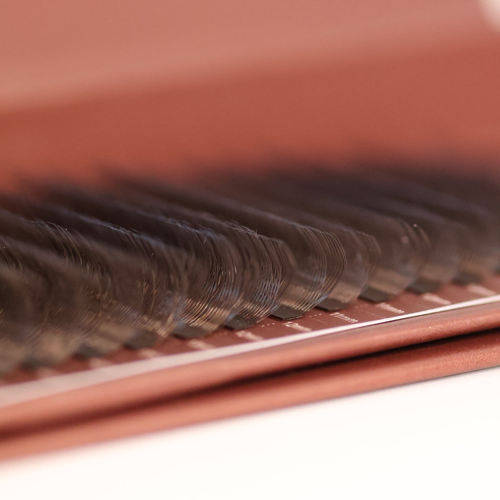 Brown W Lash Single Length 16 Row Tray