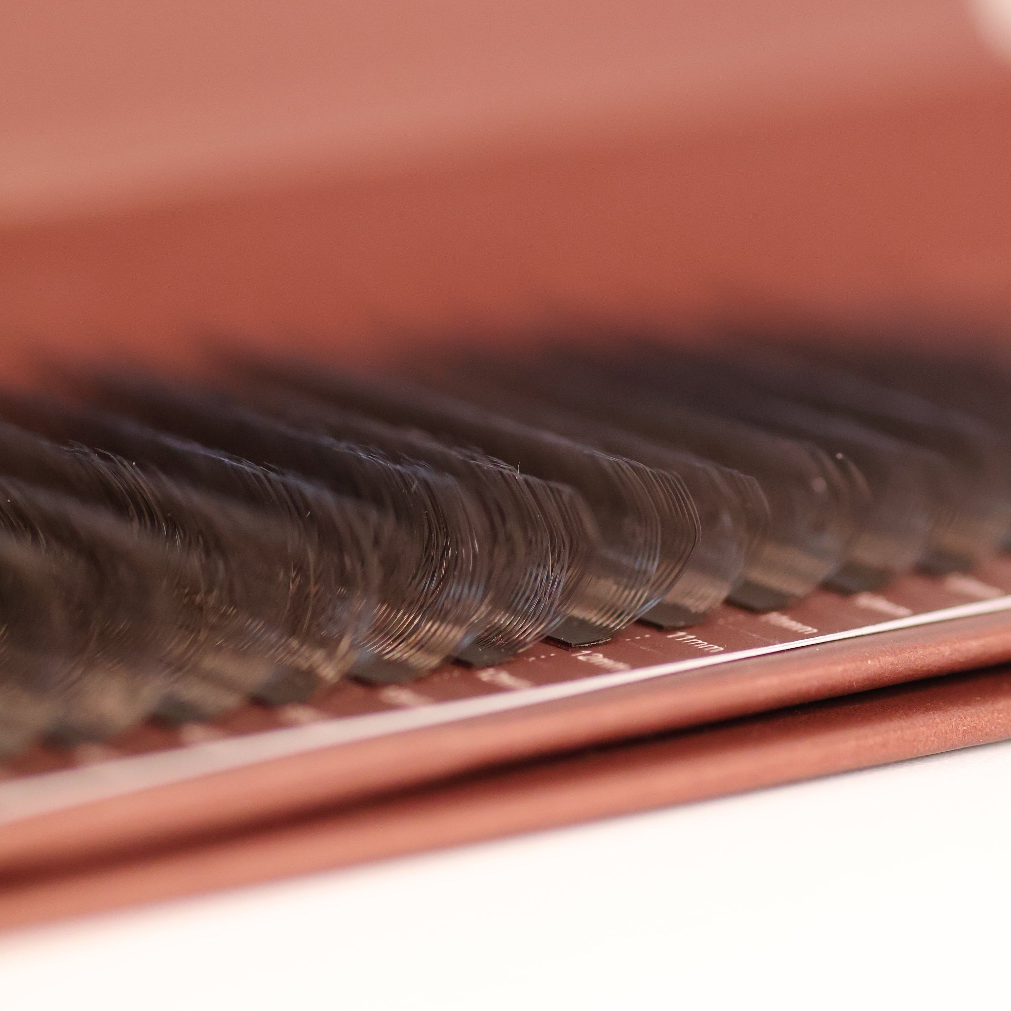 Brown W Lash Single Length 16 Row Tray