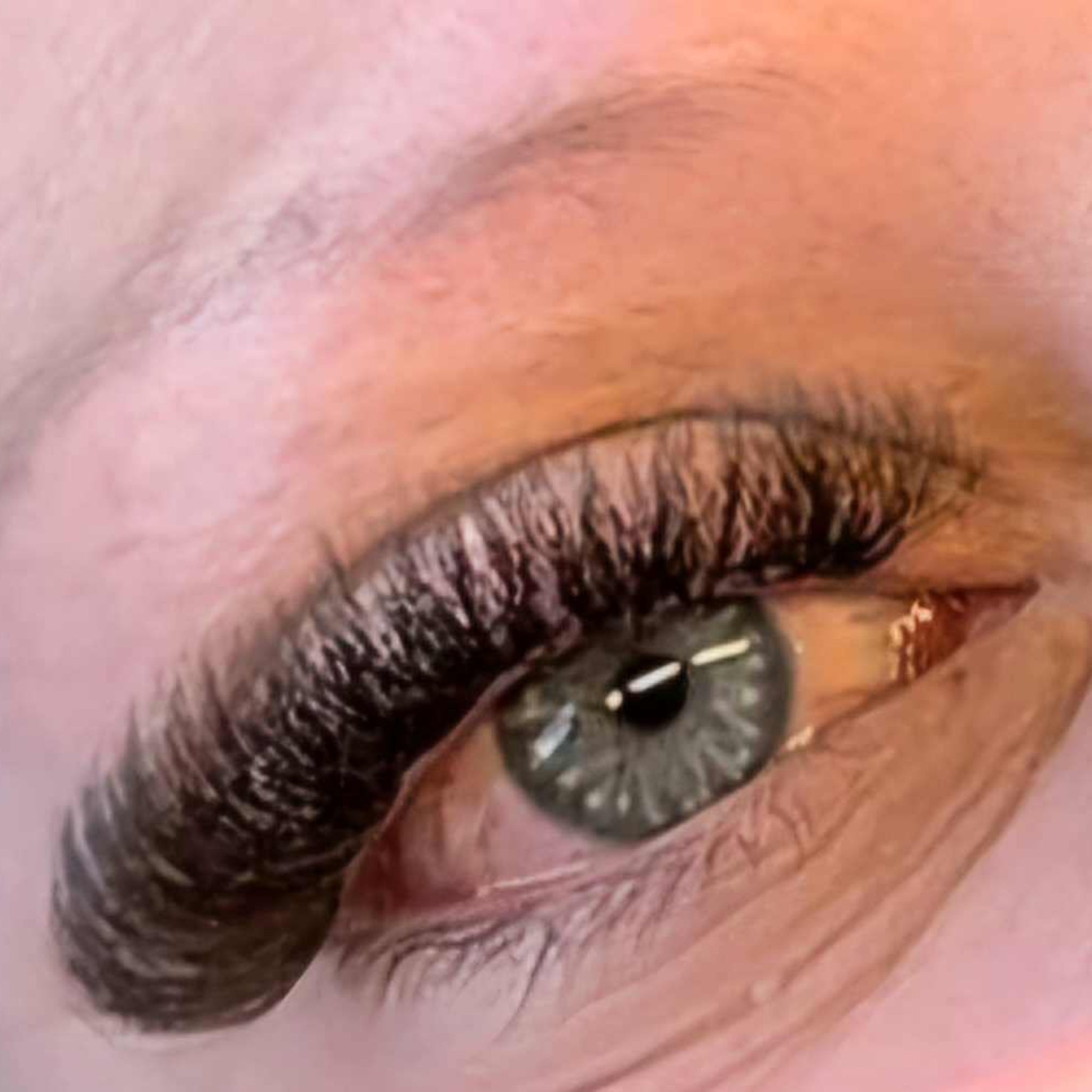 Brown 6D Clover Lash 16 Row Mixed Tray