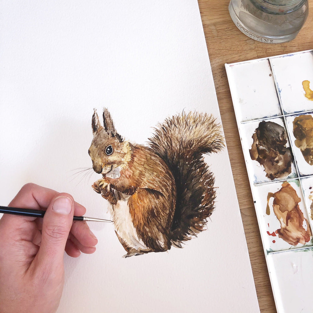 Painted Squirrel Watercolour Art Print