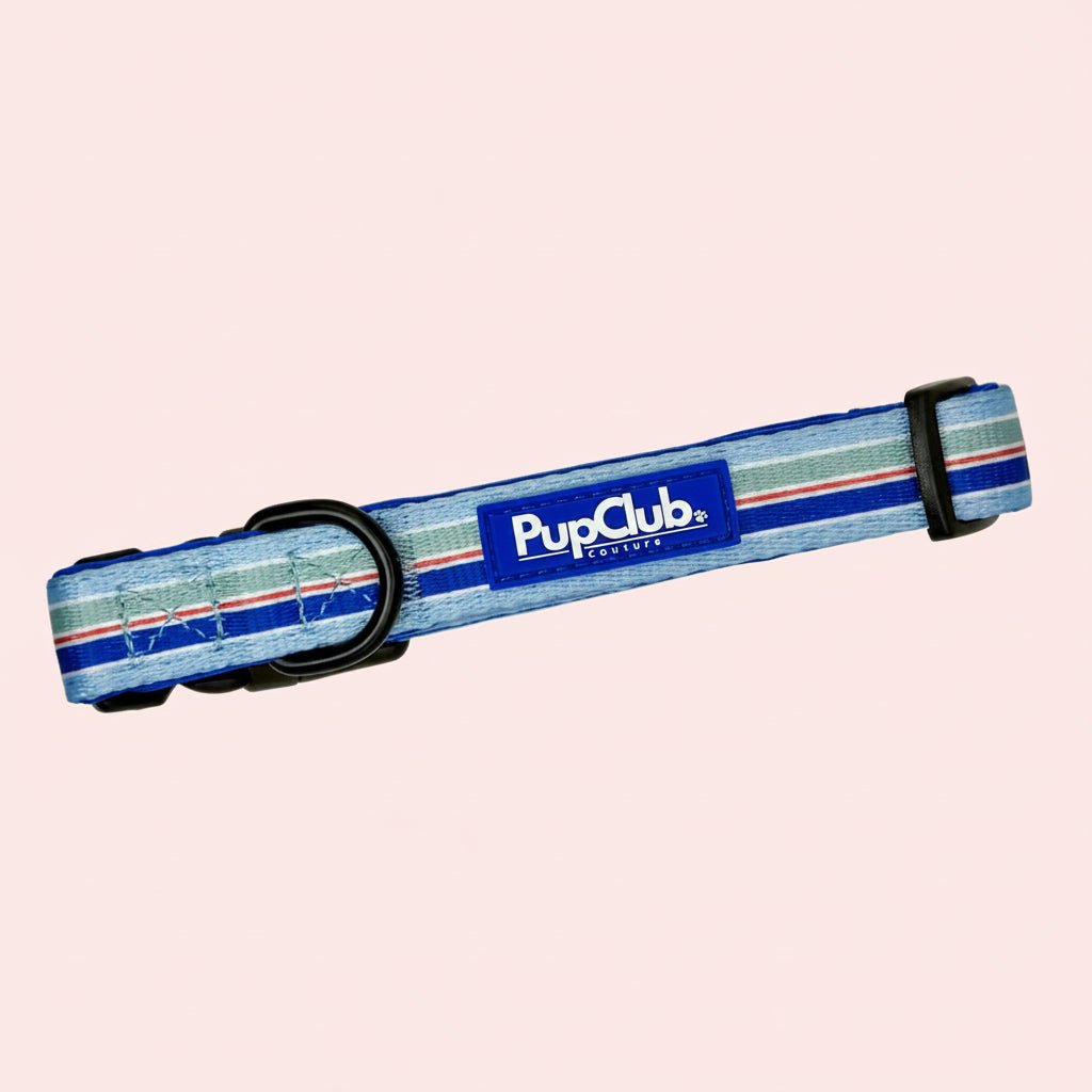 Collar - Sea Breeze Stripes