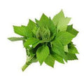 Fresh Vietnamese Balm/Kinh Giới 100g