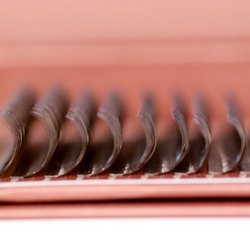 Brown Fairy Lash 16 Row Mixed Tray