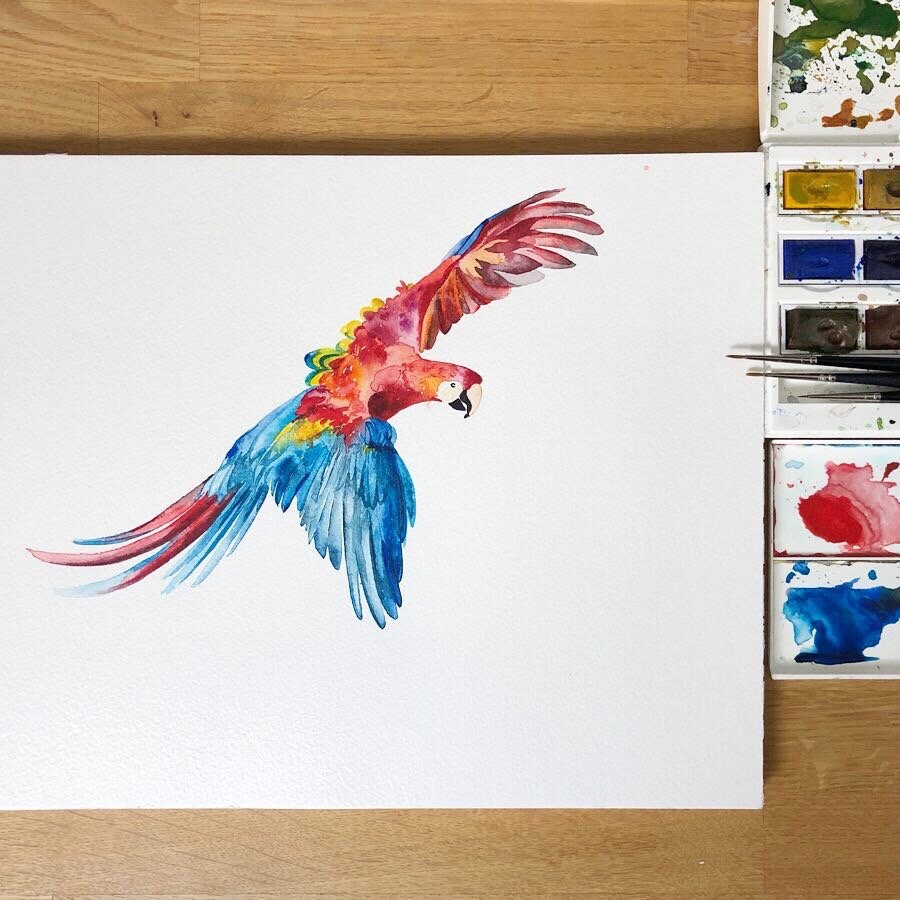 Rainforest Tropical Wildlife - Children's Curtain Fabric
