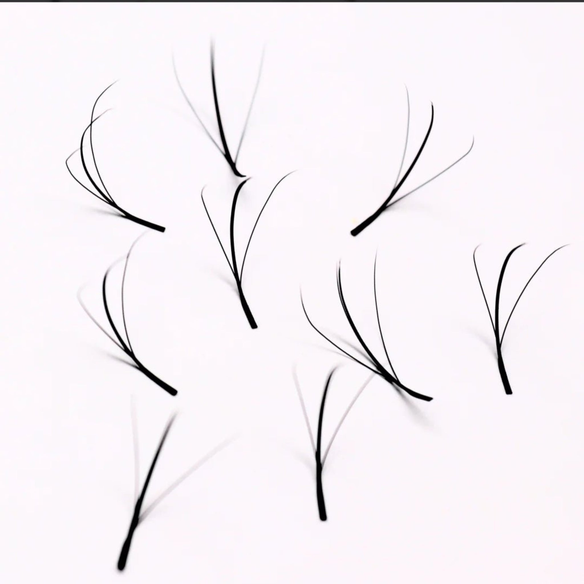 Fairy Lashes 16 Row Mixed Tray