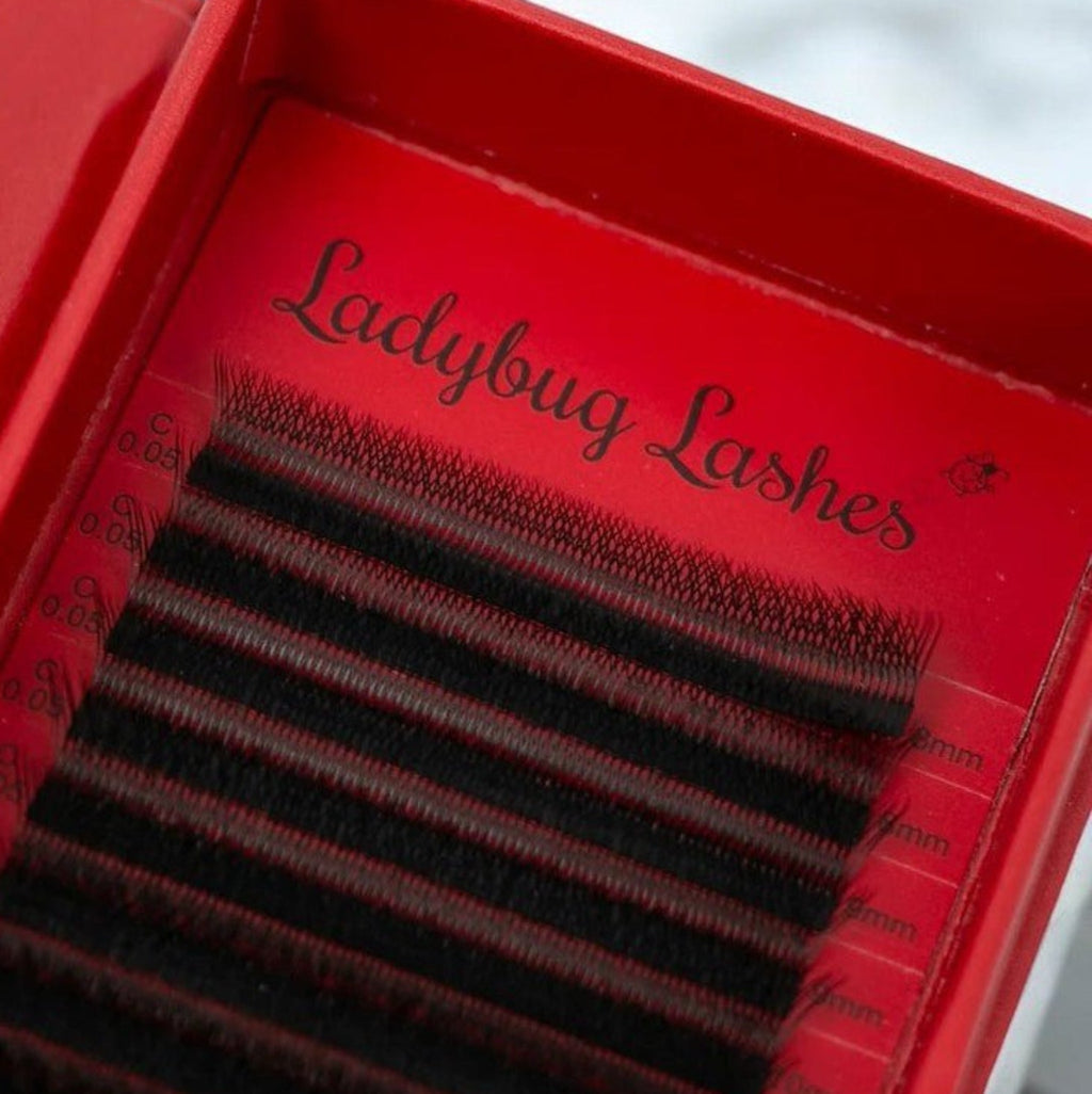 W Lash 16 Row Mixed Tray