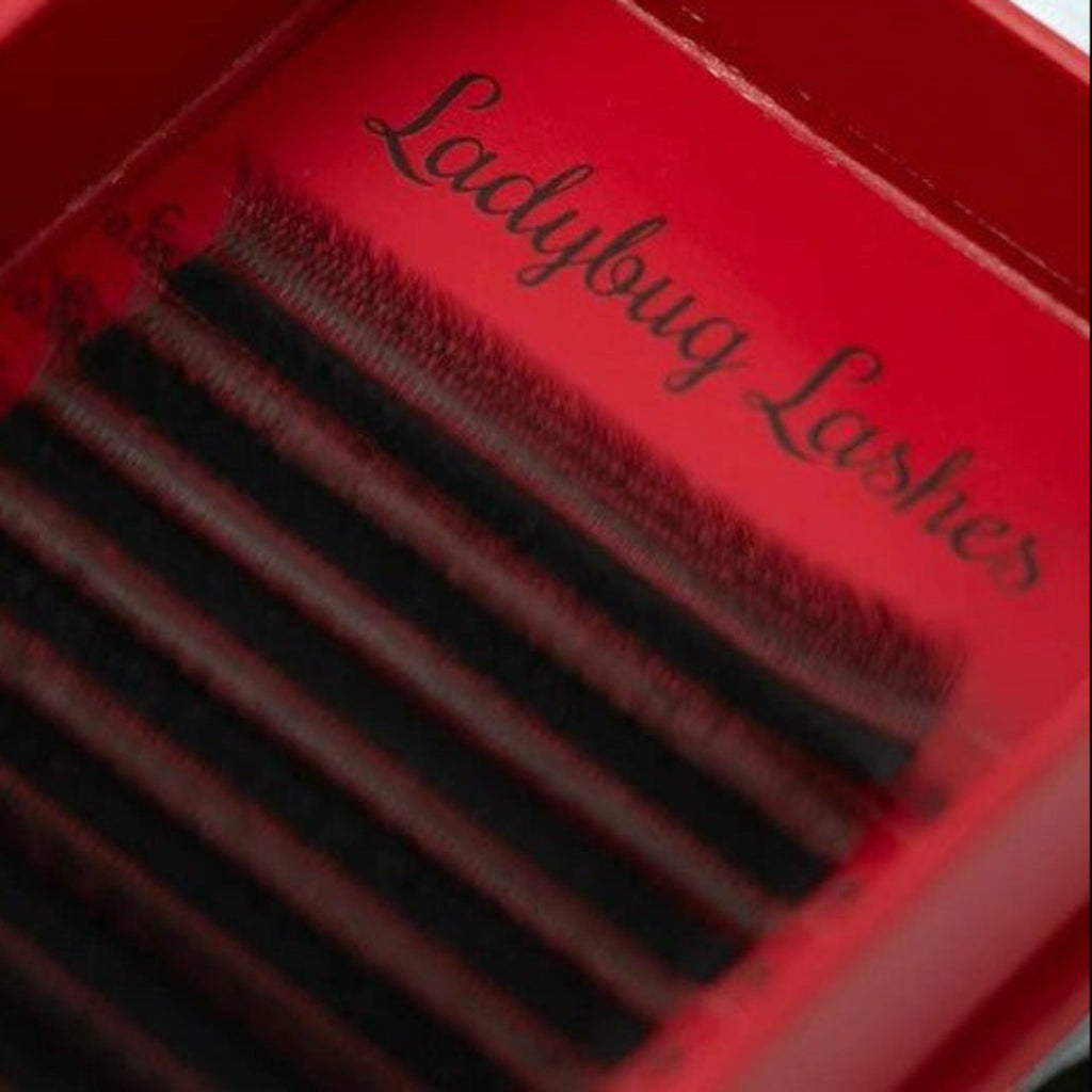 W Lash 16 Row Mixed Tray