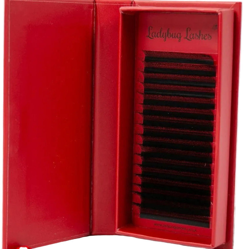 W Lash 16 Row Mixed Tray
