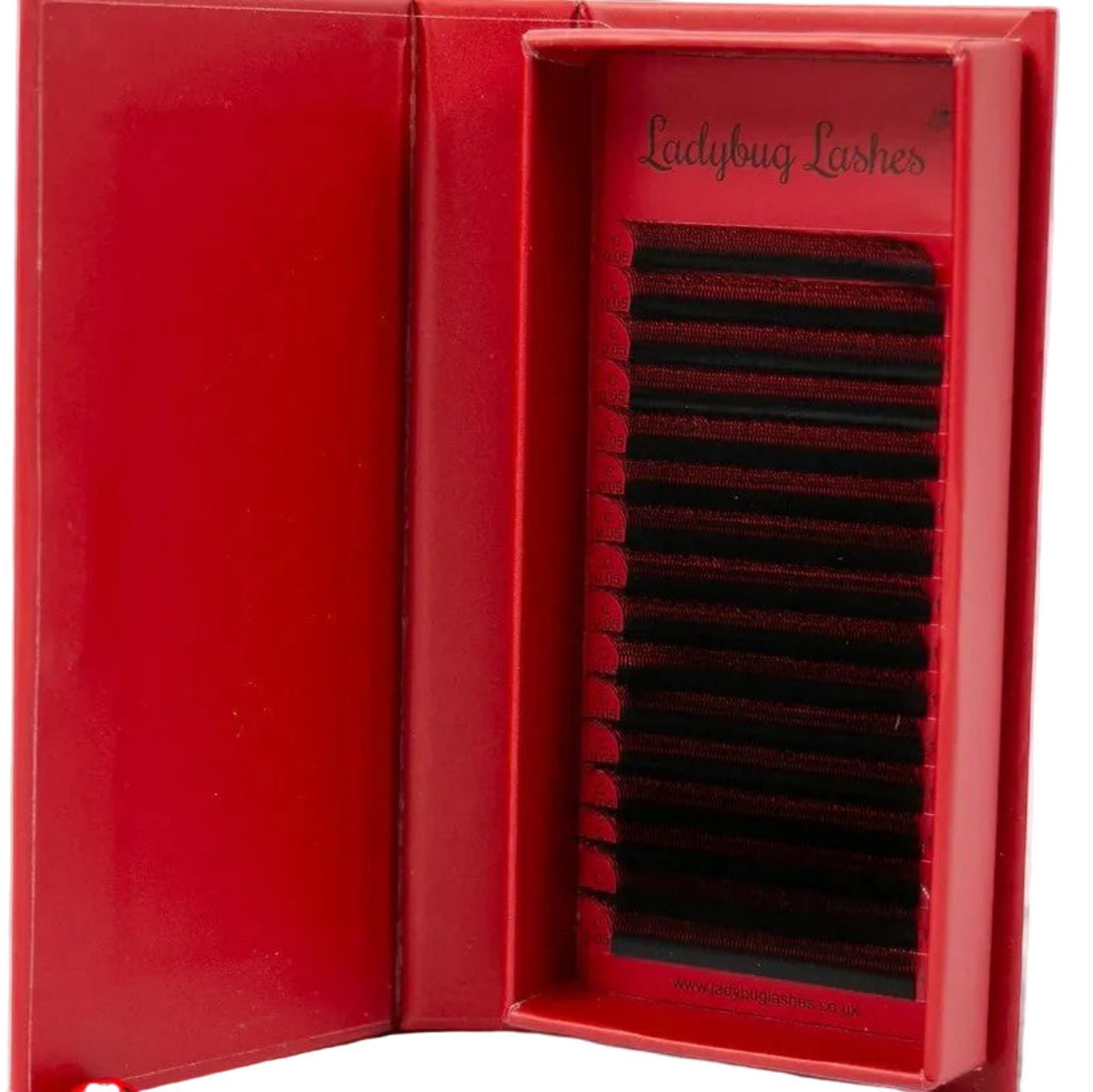 W Lash 16 Row Mixed Tray