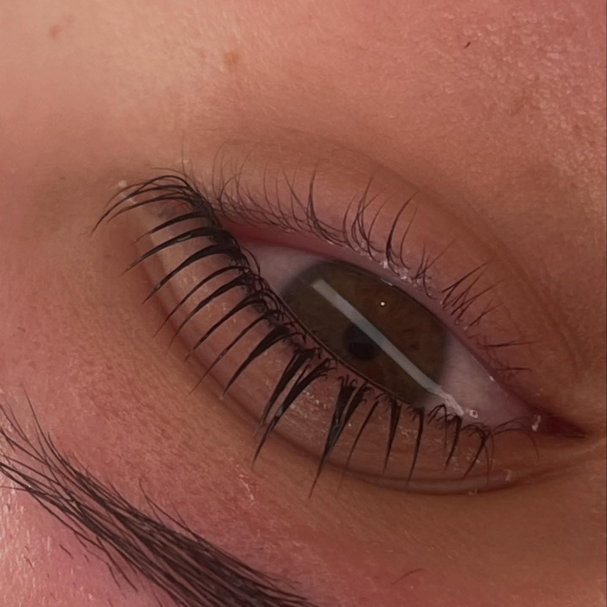 Flutter and Frame Airless Pump 8ml – Lash Lift & Brow Lami