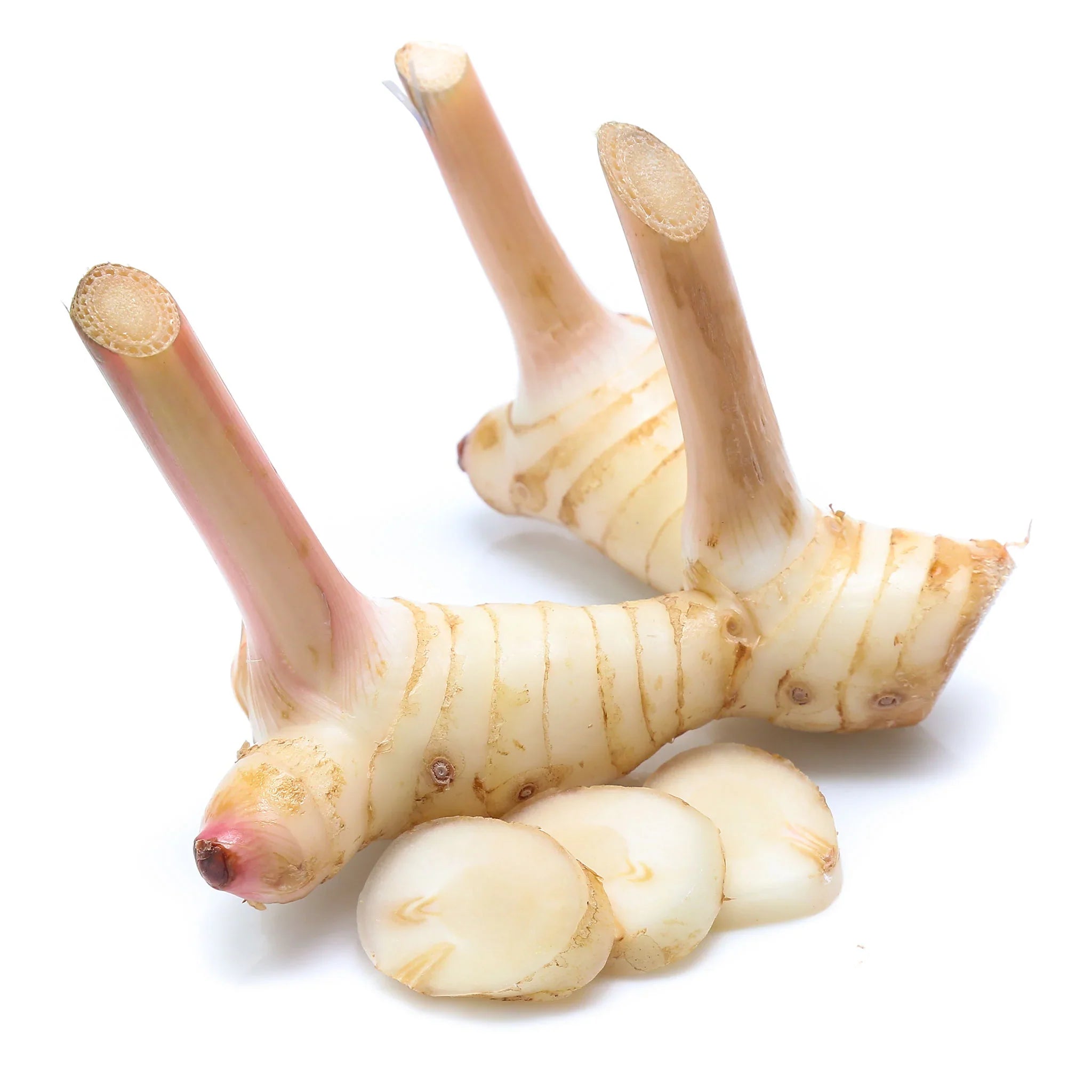 Fresh Thai Galanga/Củ Riềng 200g