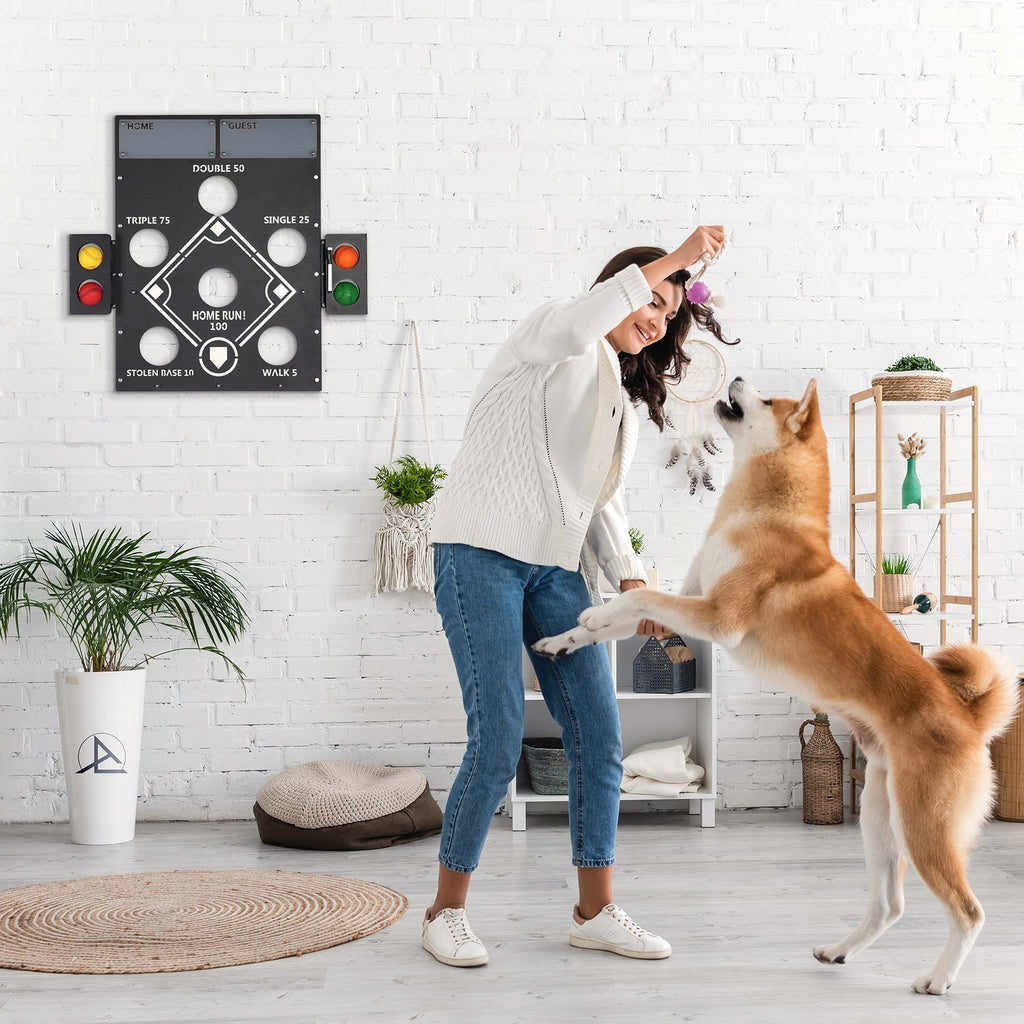 Baseball Wall Game