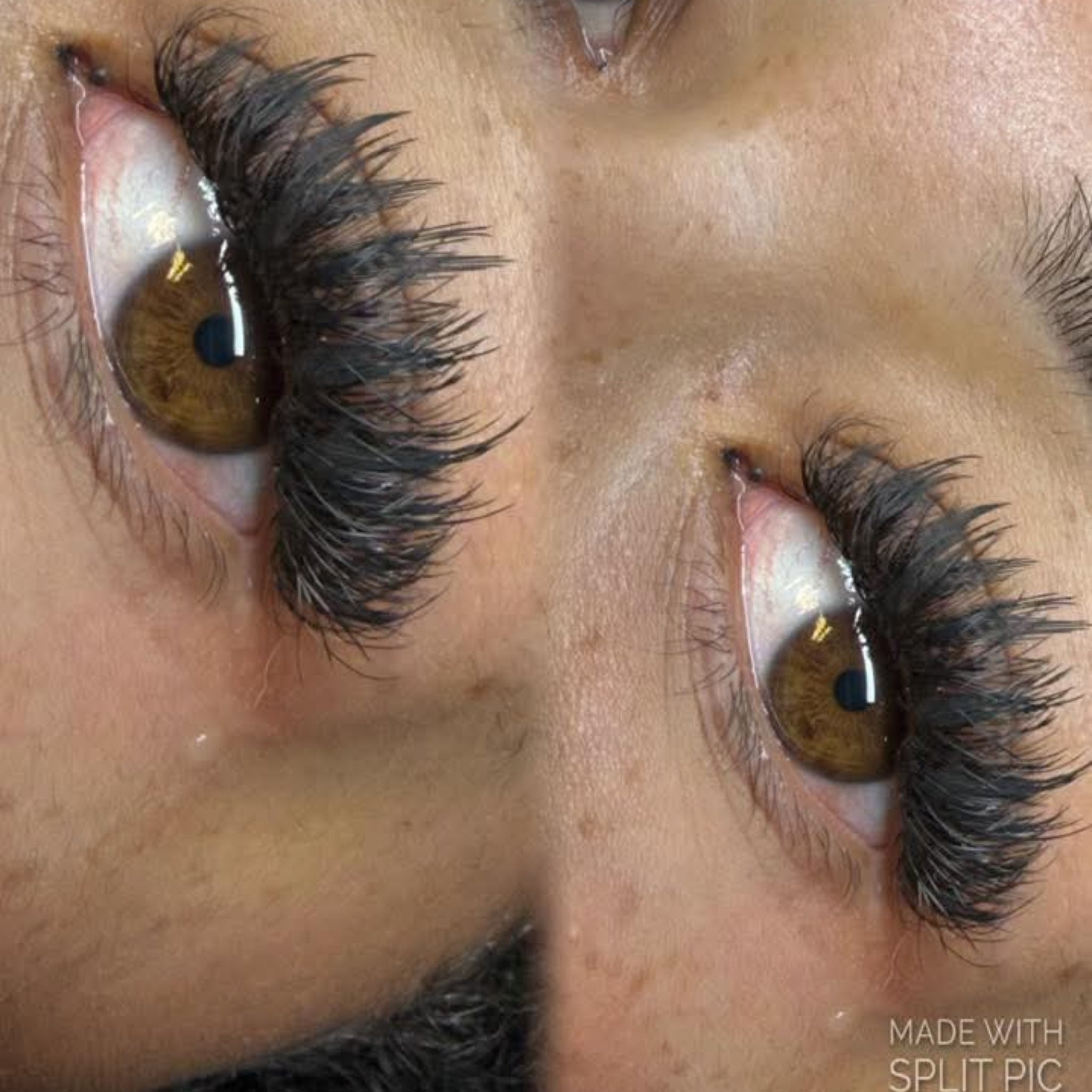 Anime Feather Lash 16 Row Tray