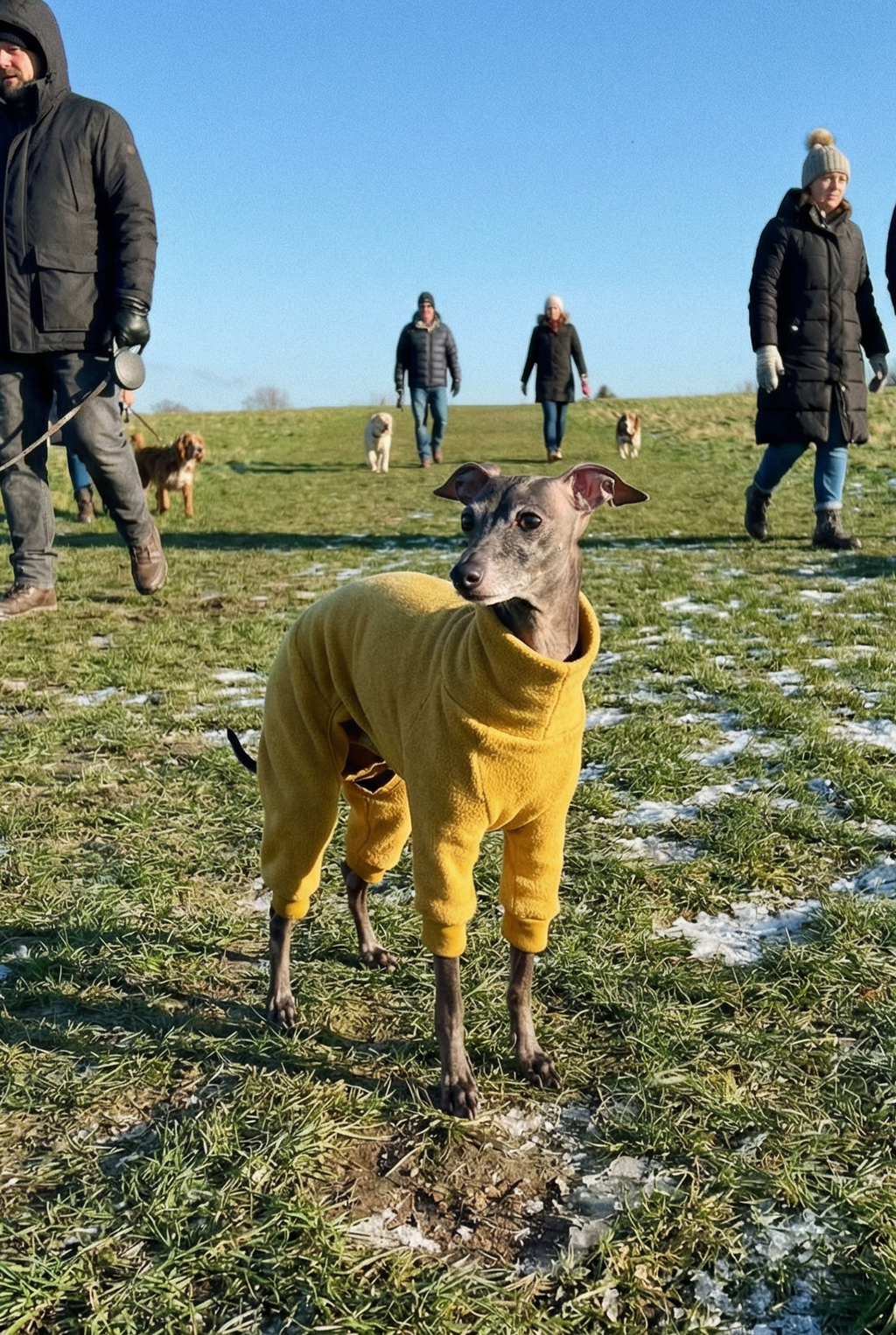 Fleece Lined Sweatshirt - Honey Yellow