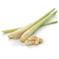 Fresh Lemongrass/Sa Cay 200g