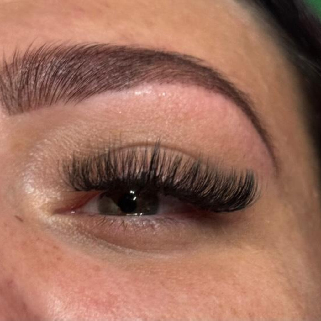 10D Clover Lash 16 Row Mixed Tray