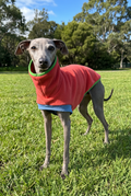 Open-Leg Fleece Vest - Coral