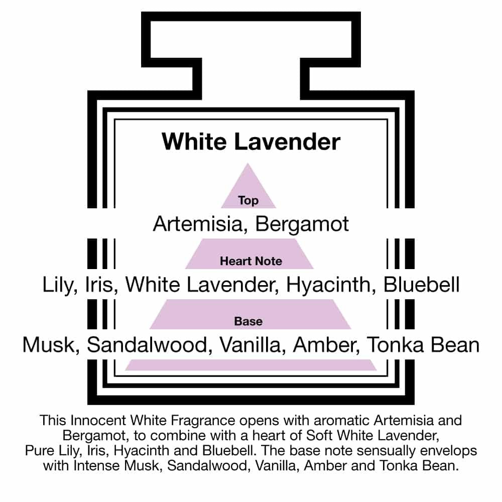 Pairfum London Luxury Reed Diffuser ‘eau de parfum’ 100 ml White Lavender - 10 Black Reeds