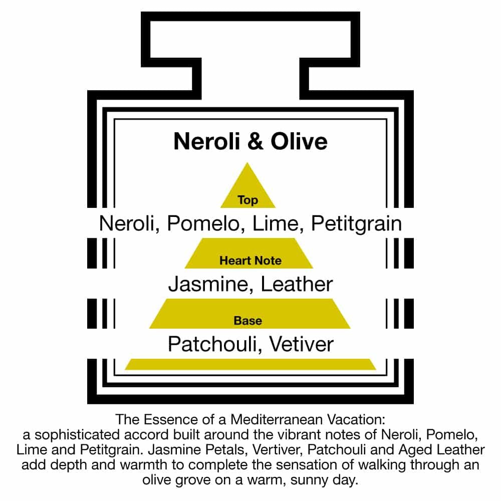 Pairfum London Luxury Reed Diffuser Classic Neroli & Olive 100ml +10 Reeds