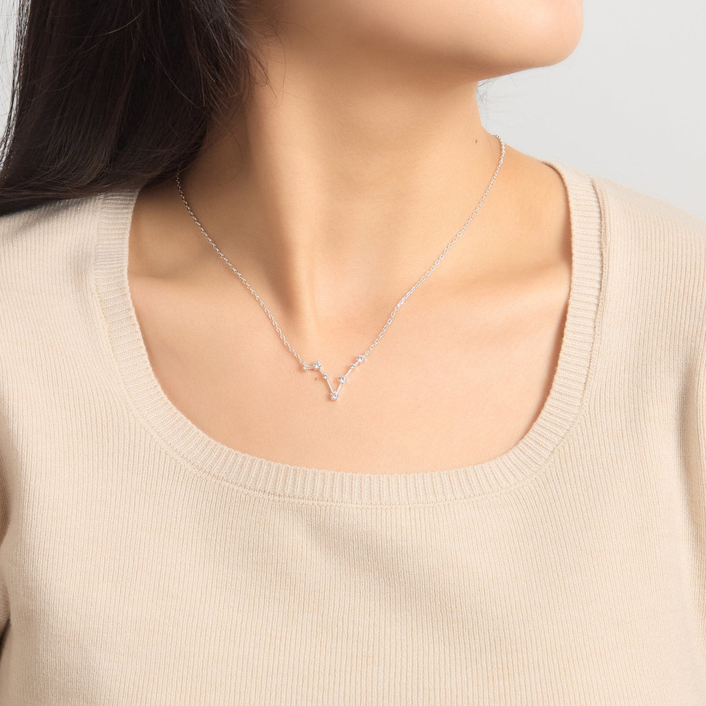 Pisces Star Sign Zodiac Constellation Necklace and Quote Card with Zircondia® Crystals