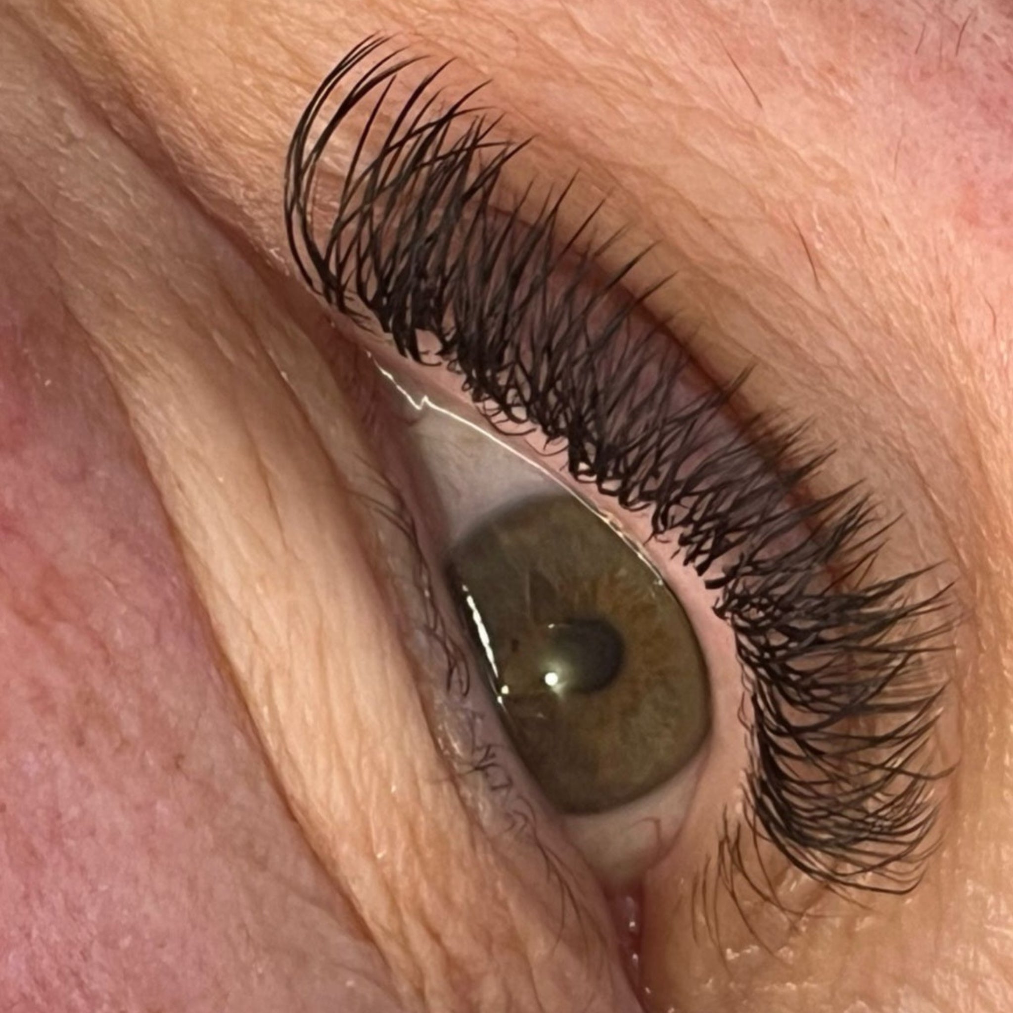 U Lash Trays 16 Row Mixed Length 2D (Double Classics), 3D, 4D & 5D