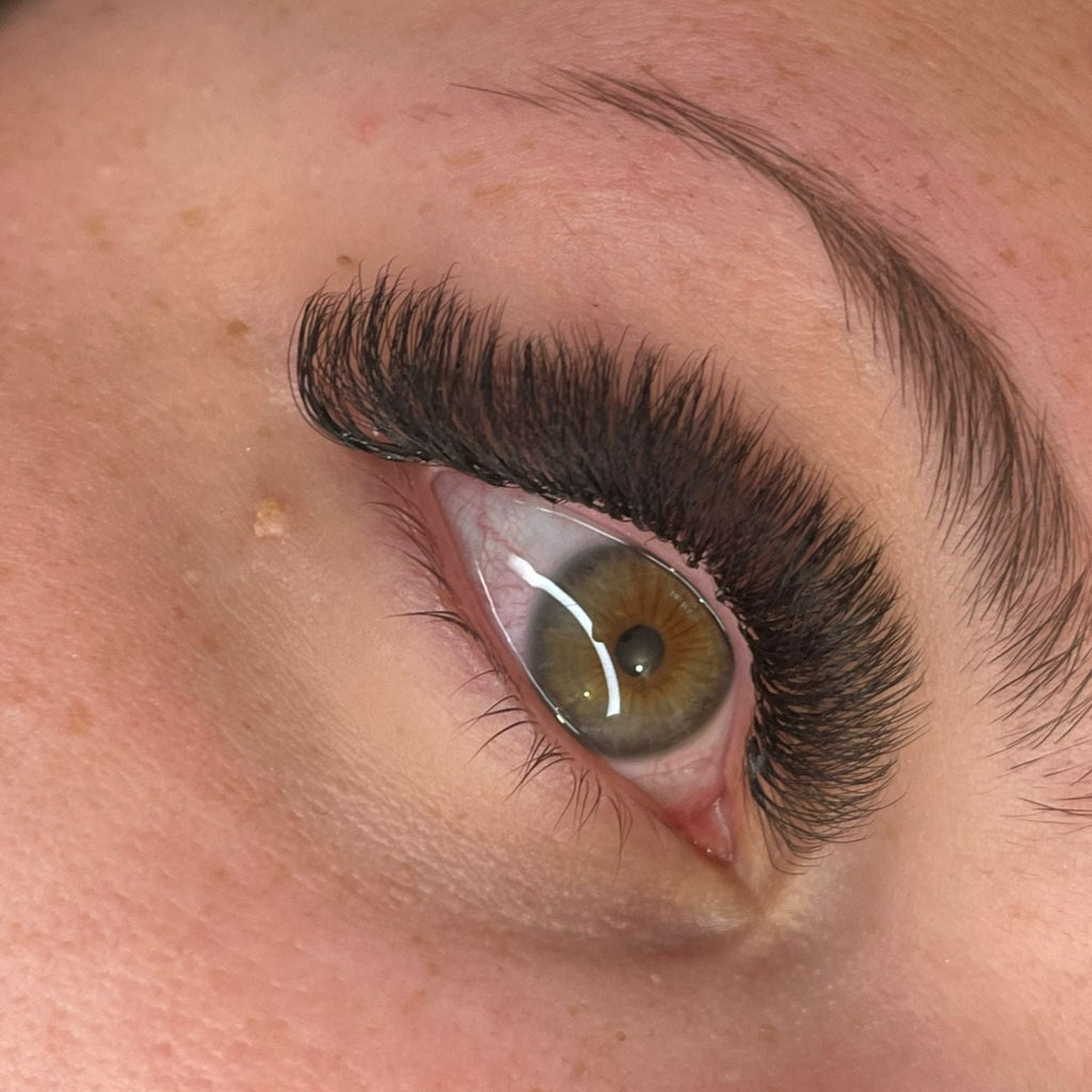 8D Clover Lash 16 Row Mixed Tray