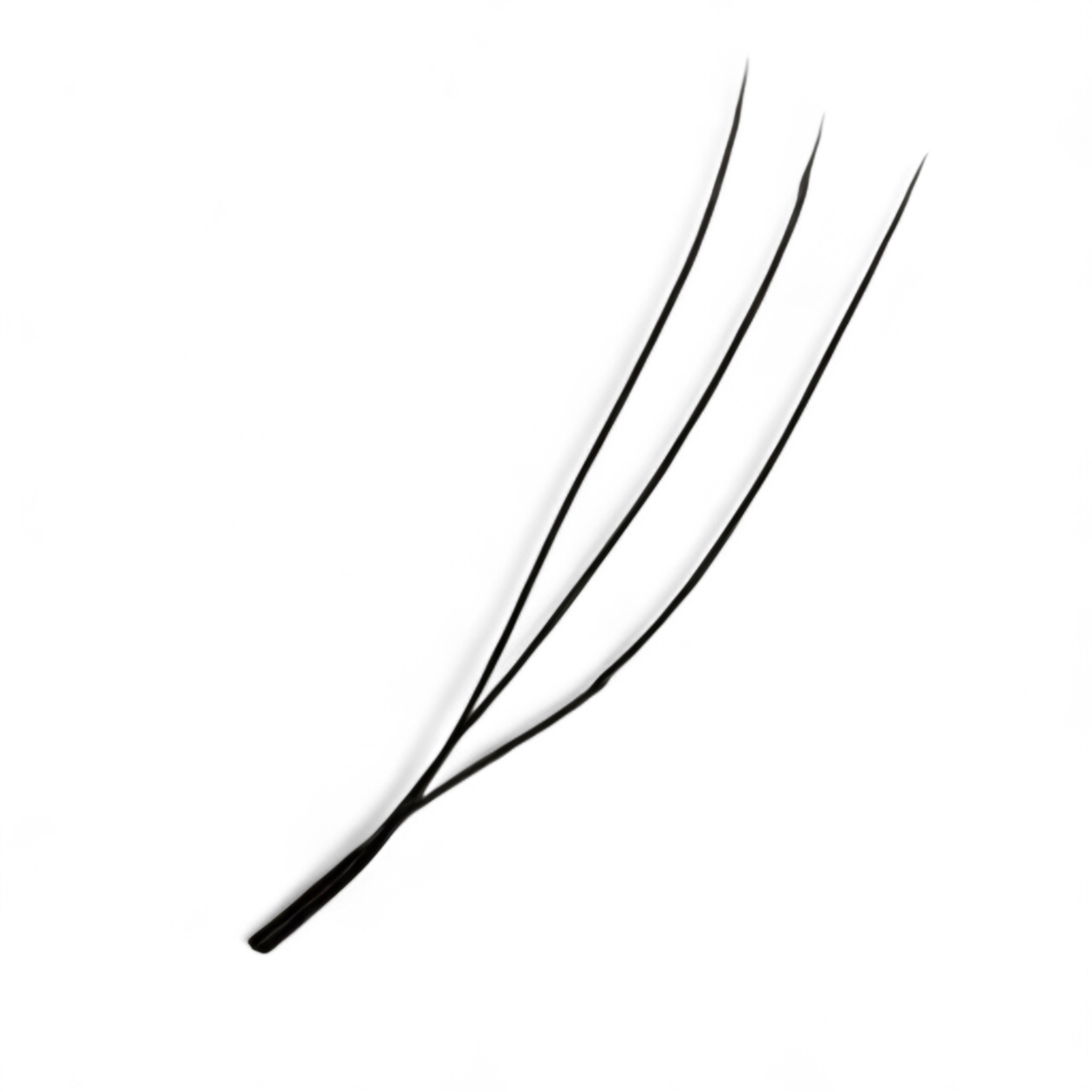 Brown U Lash 16 Row Tray 2D (Double Classics), 3D, 4D & 5D