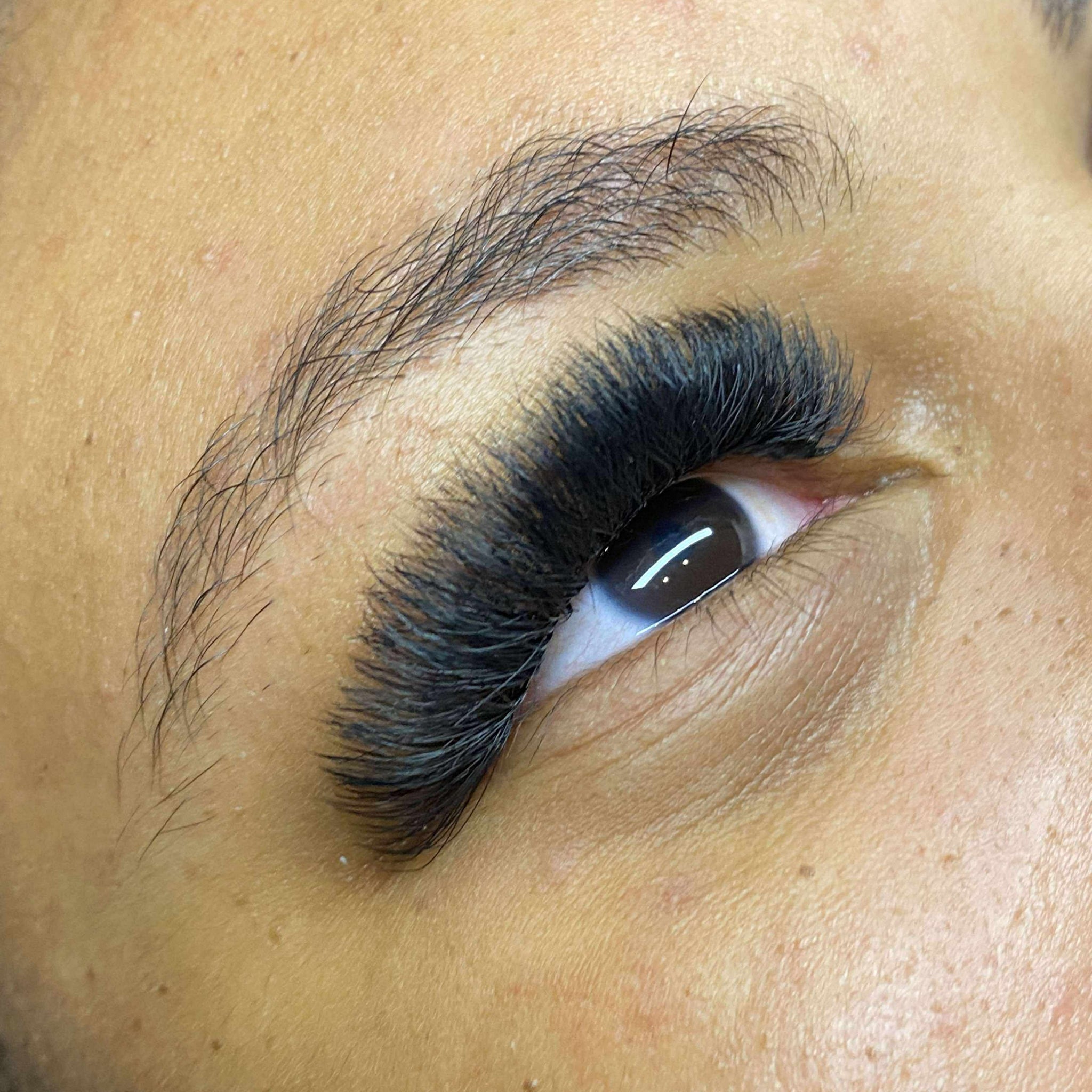 8D Clover Lash 16 Row Mixed Tray