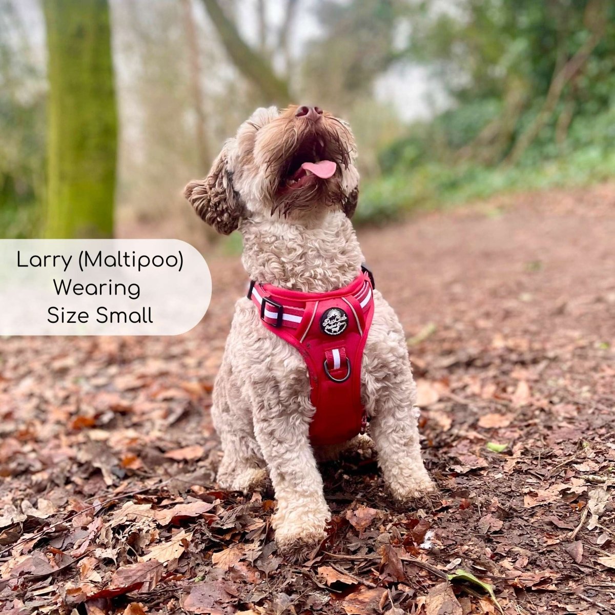 Rugged Rover™ Harness - Berry Red