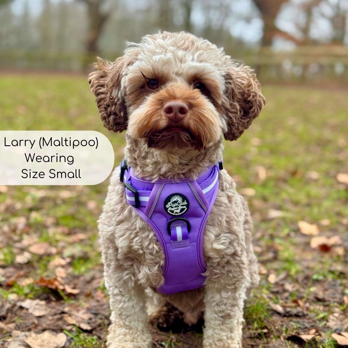 Rugged Rover™ Harness - Lilac Blush