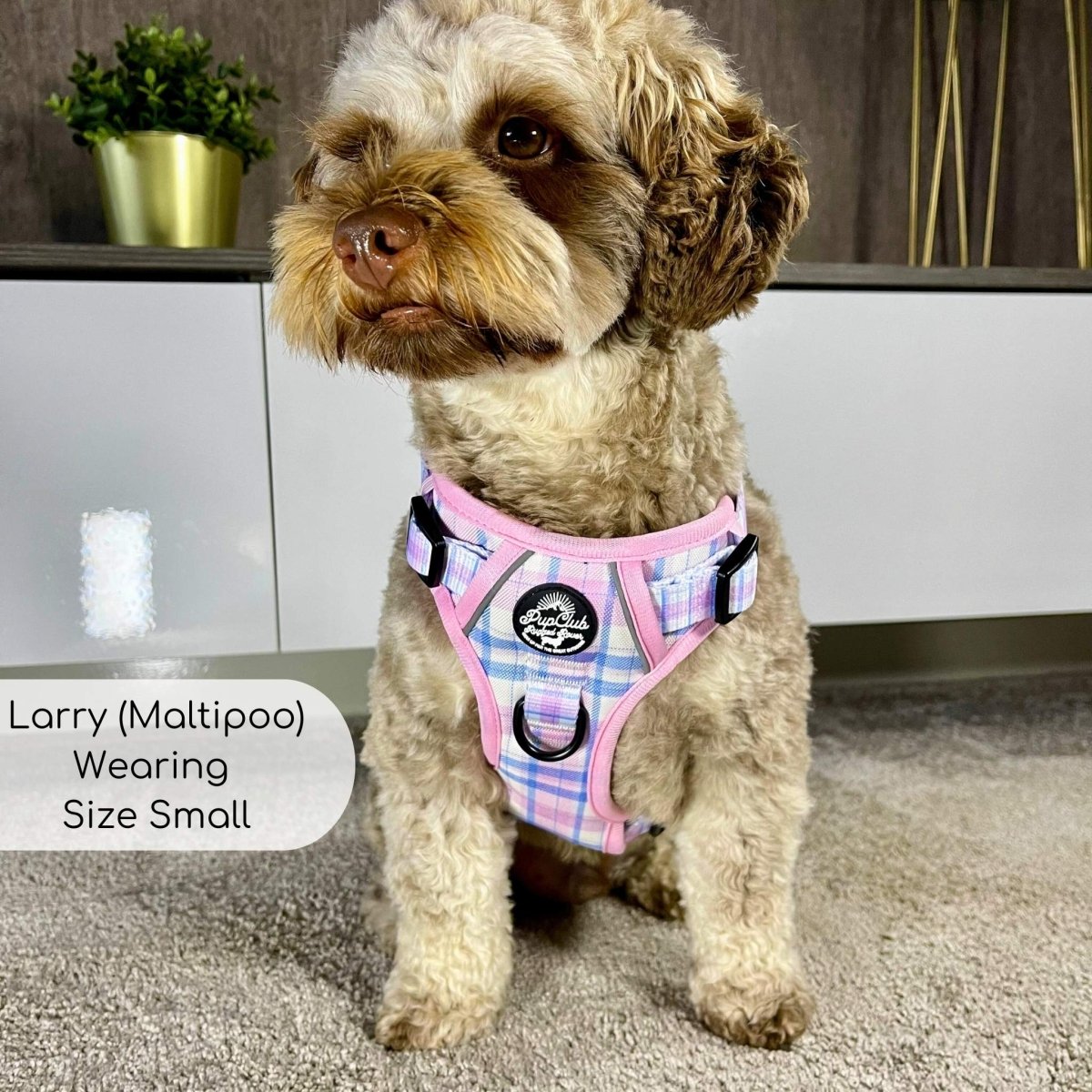 Rugged Rover™ Harness - Pink Tartan