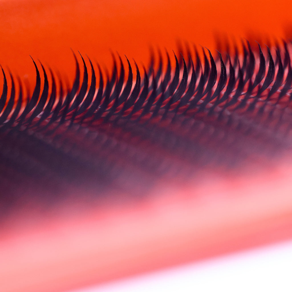 Anime Feather Lash 16 Row Tray